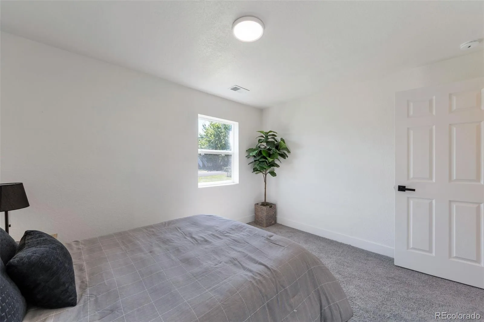 3715 N Jackson Street Denver CO 80205 | MLS #REC5279278 07272026213740 1600 7