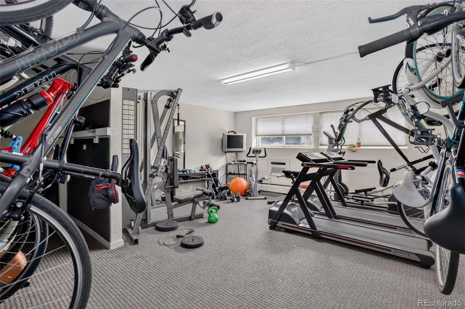 75 N Emerson Street #106 Denver CO 80218 | MLS #REC5280036 07152026024322 1600 24