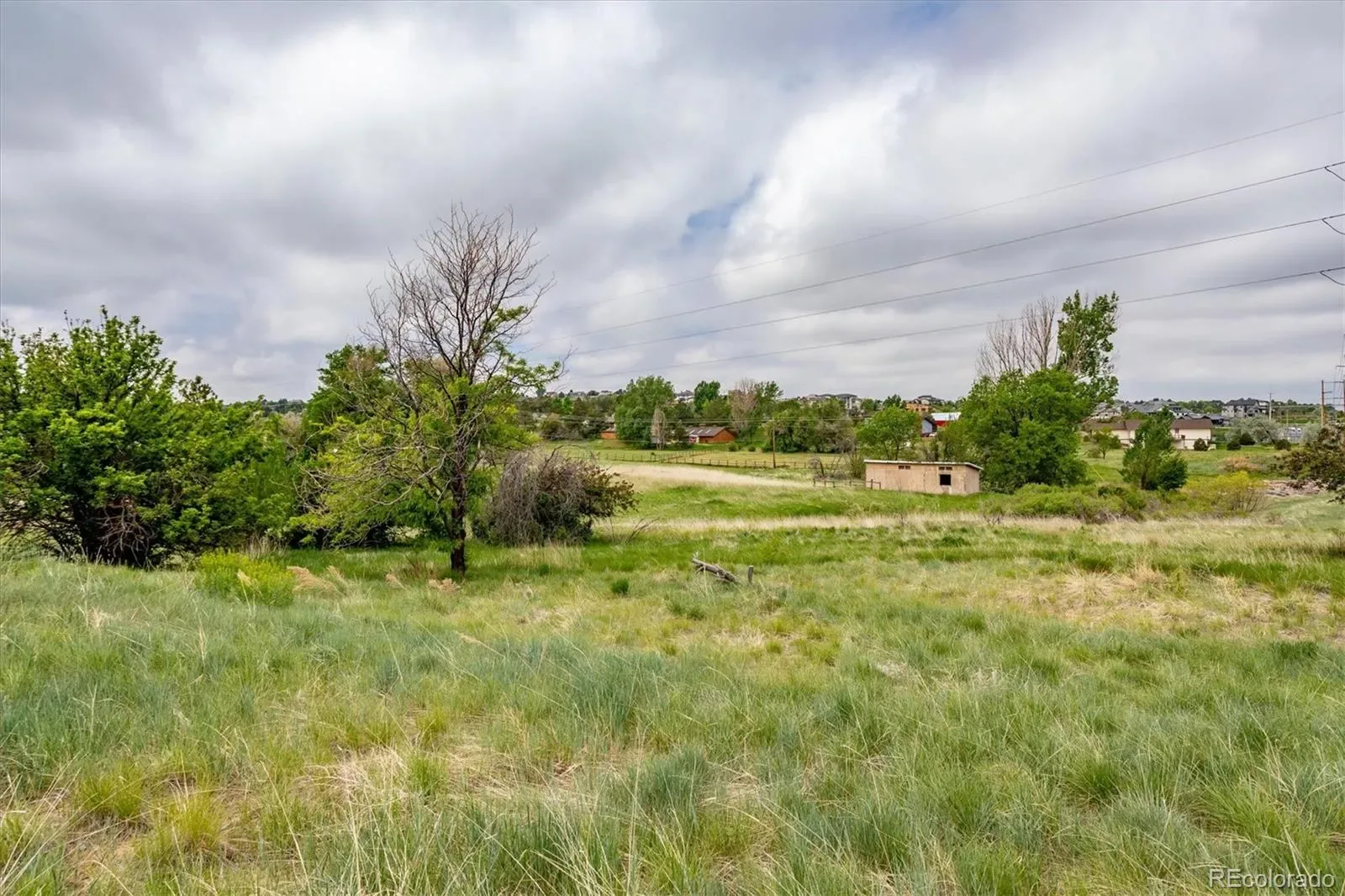 6731 S Himalaya Way Centennial CO 80016 | MLS #REC5280340 03172026183603 1600 3