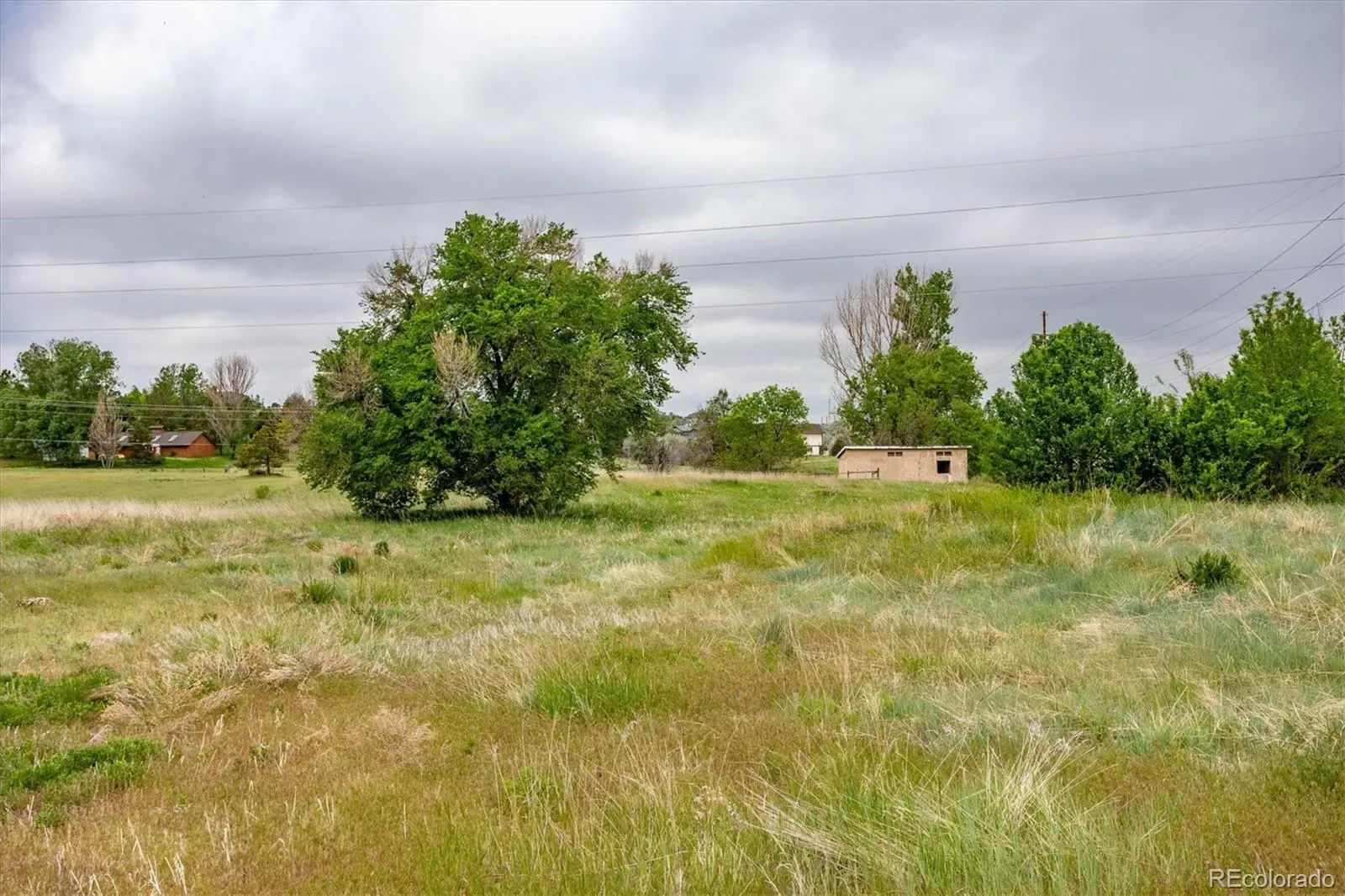 6731 S Himalaya Way Centennial CO 80016 | MLS #REC5280340 03172026183603 1600 4