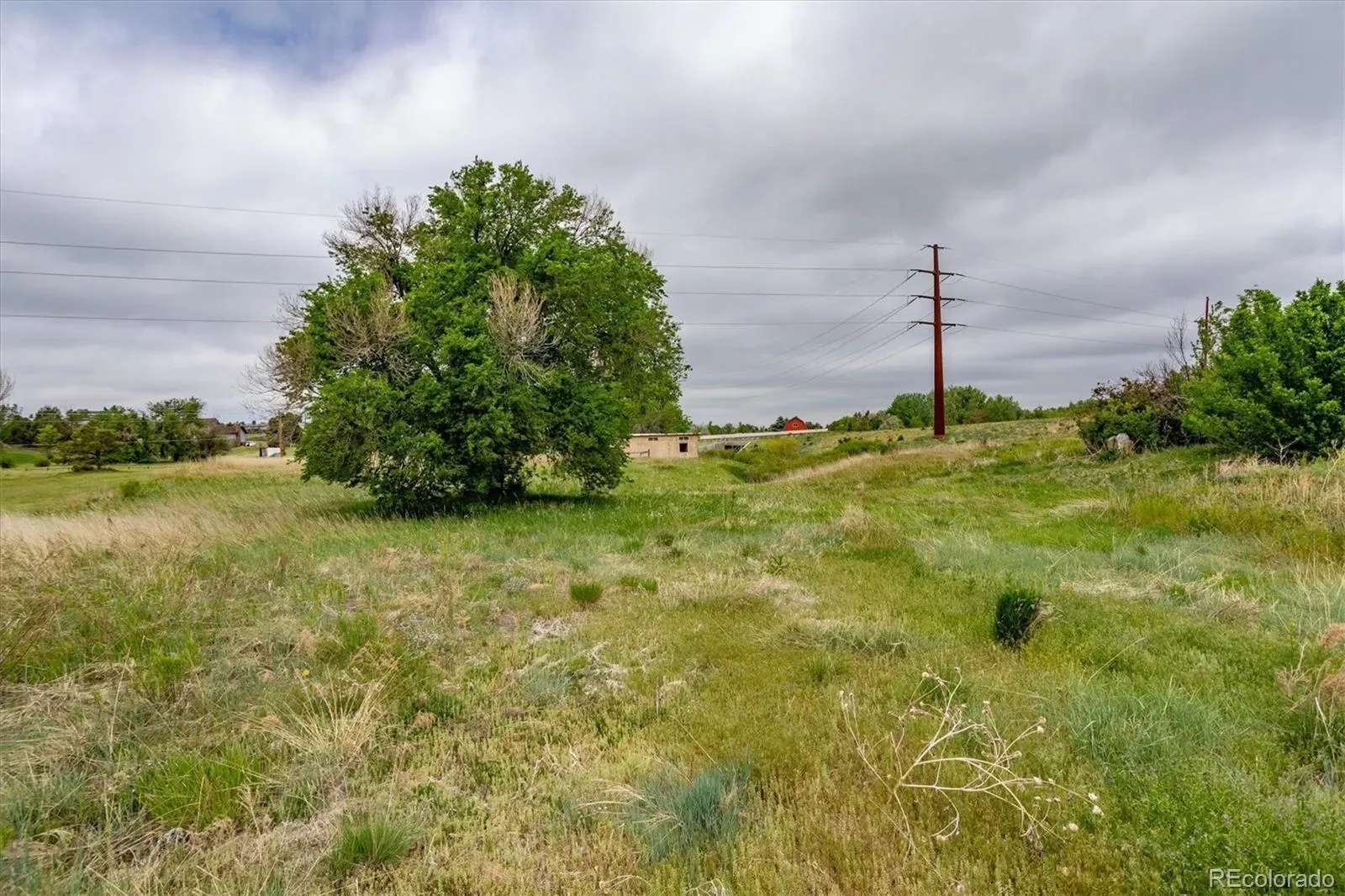 6731 S Himalaya Way Centennial CO 80016 | MLS #REC5280340 03172026183603 1600 5