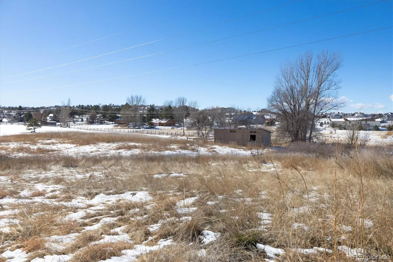 6731 S Himalaya Way Centennial CO 80016 | MLS #REC5280340 03172026183603 1600 6