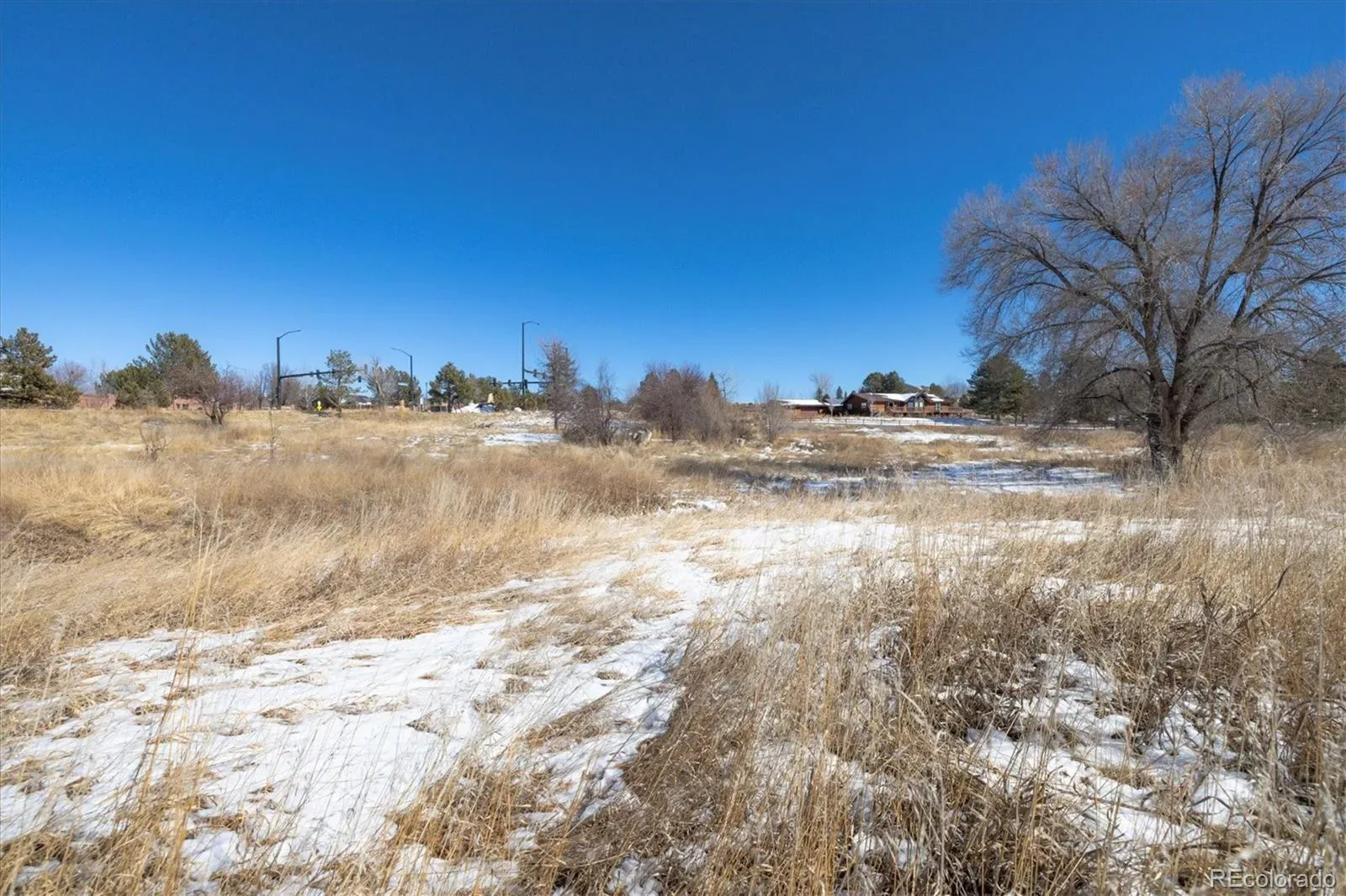 6731 S Himalaya Way Centennial CO 80016 | MLS #REC5280340 03172026183603 1600 7