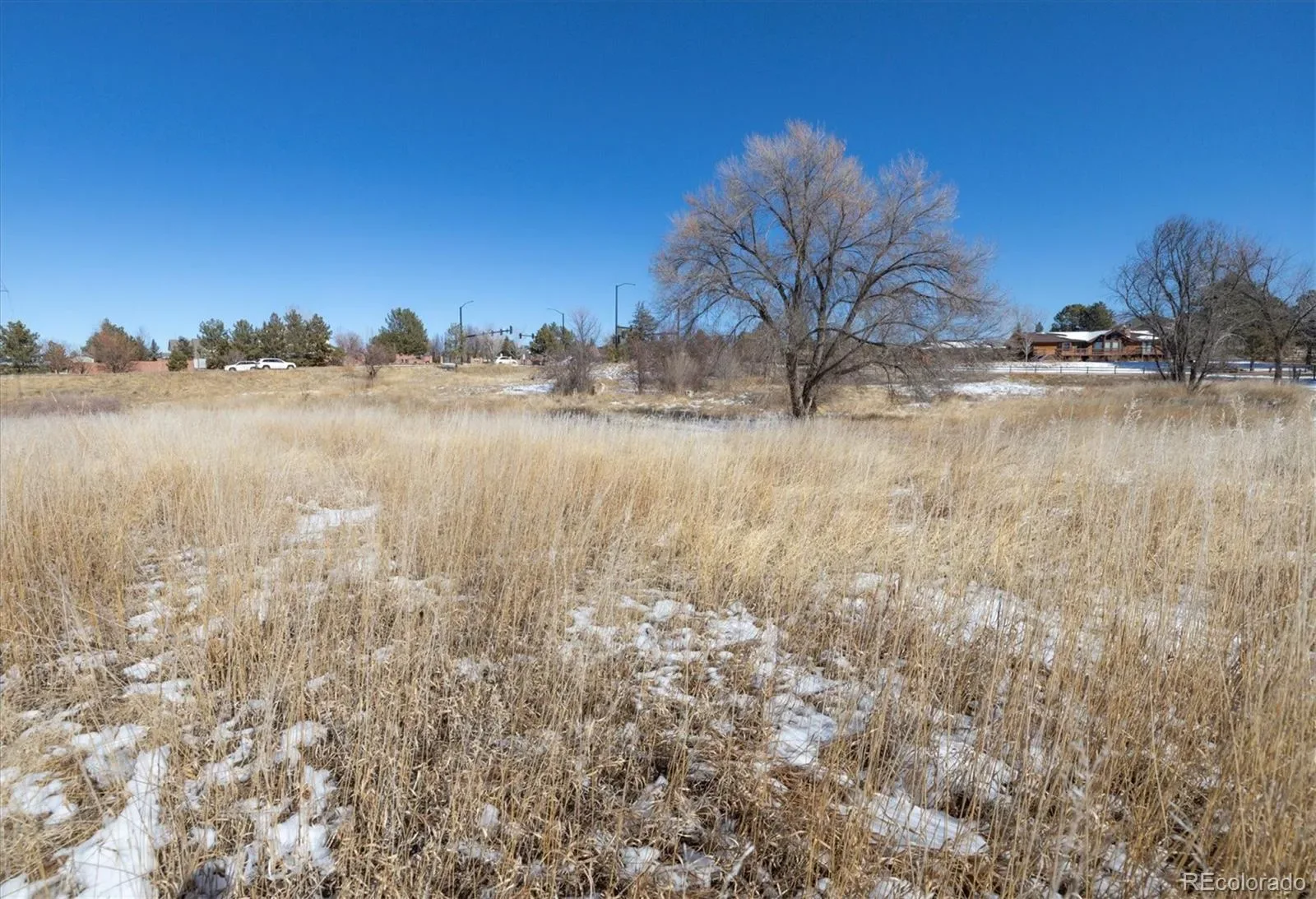 6731 S Himalaya Way Centennial CO 80016 | MLS #REC5280340 03172026183603 1600 8