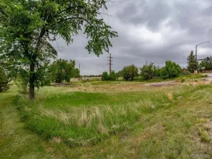 6731 S Himalaya Way Centennial CO 80016 | MLS #REC5280340 03172026183603 300 0