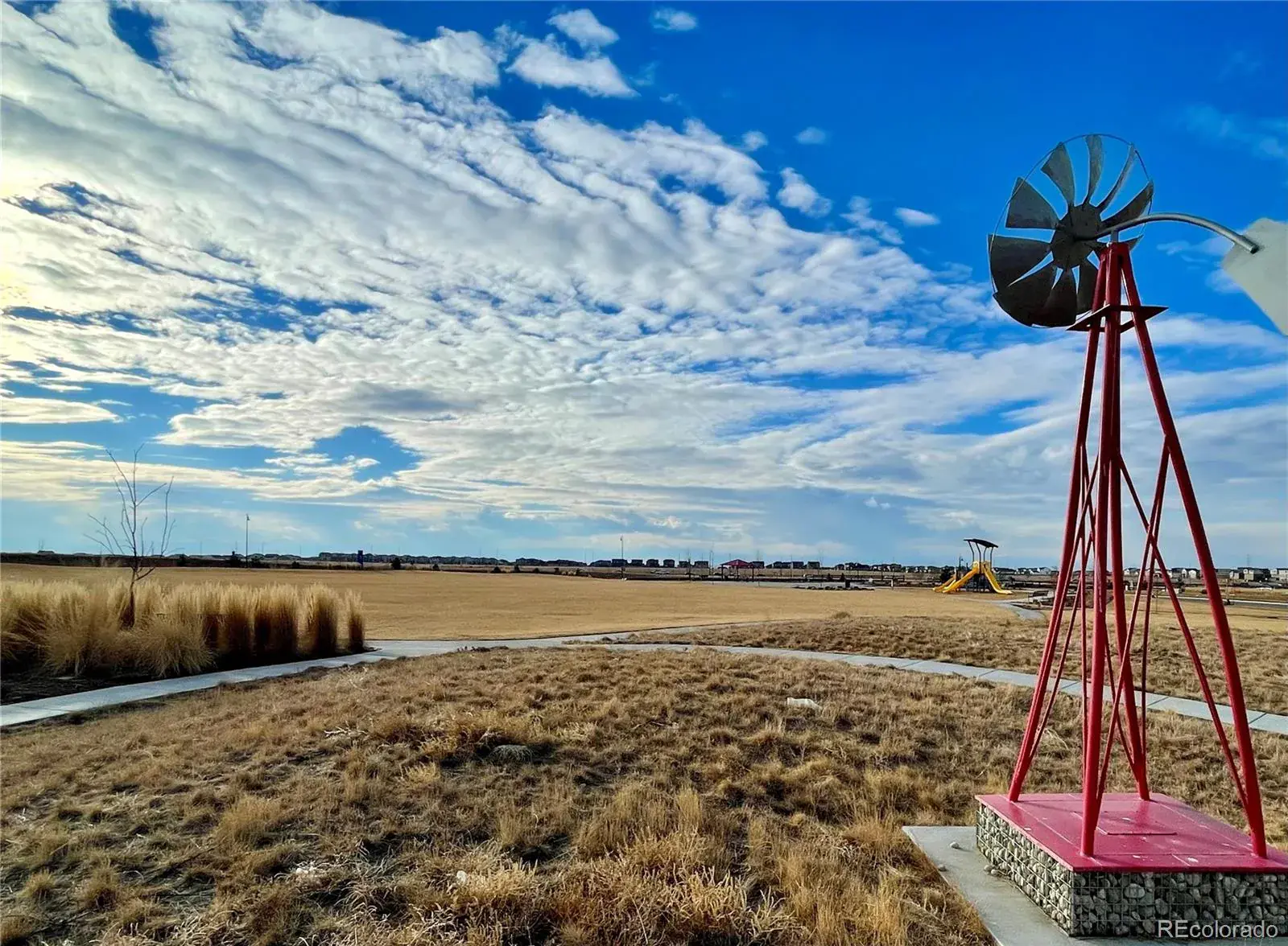 9897 Danube Court Commerce City CO 80022 | MLS #REC5280784 02212026222239 1600 21