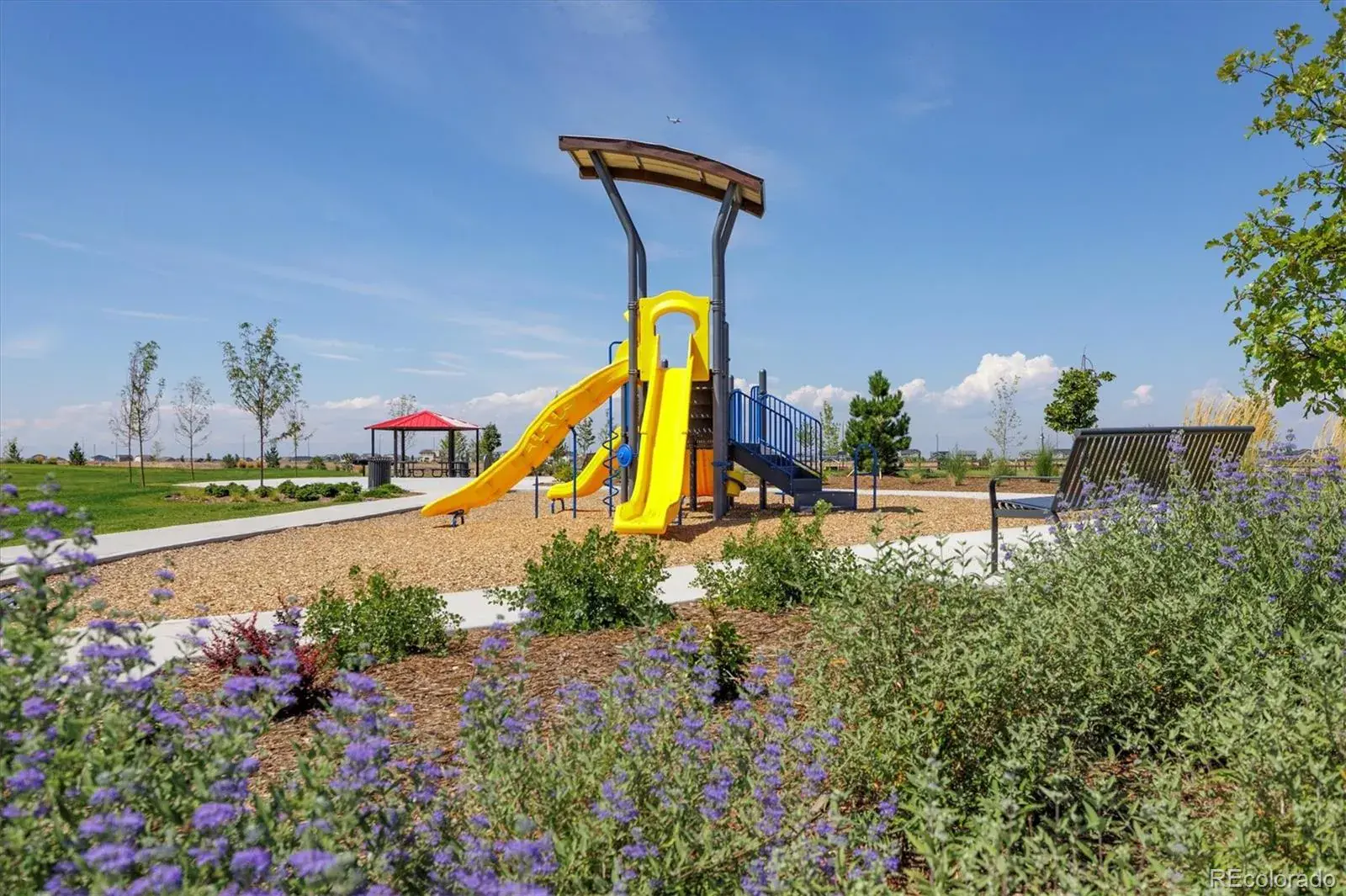 9897 Danube Court Commerce City CO 80022 | MLS #REC5280784 02212026222239 1600 22