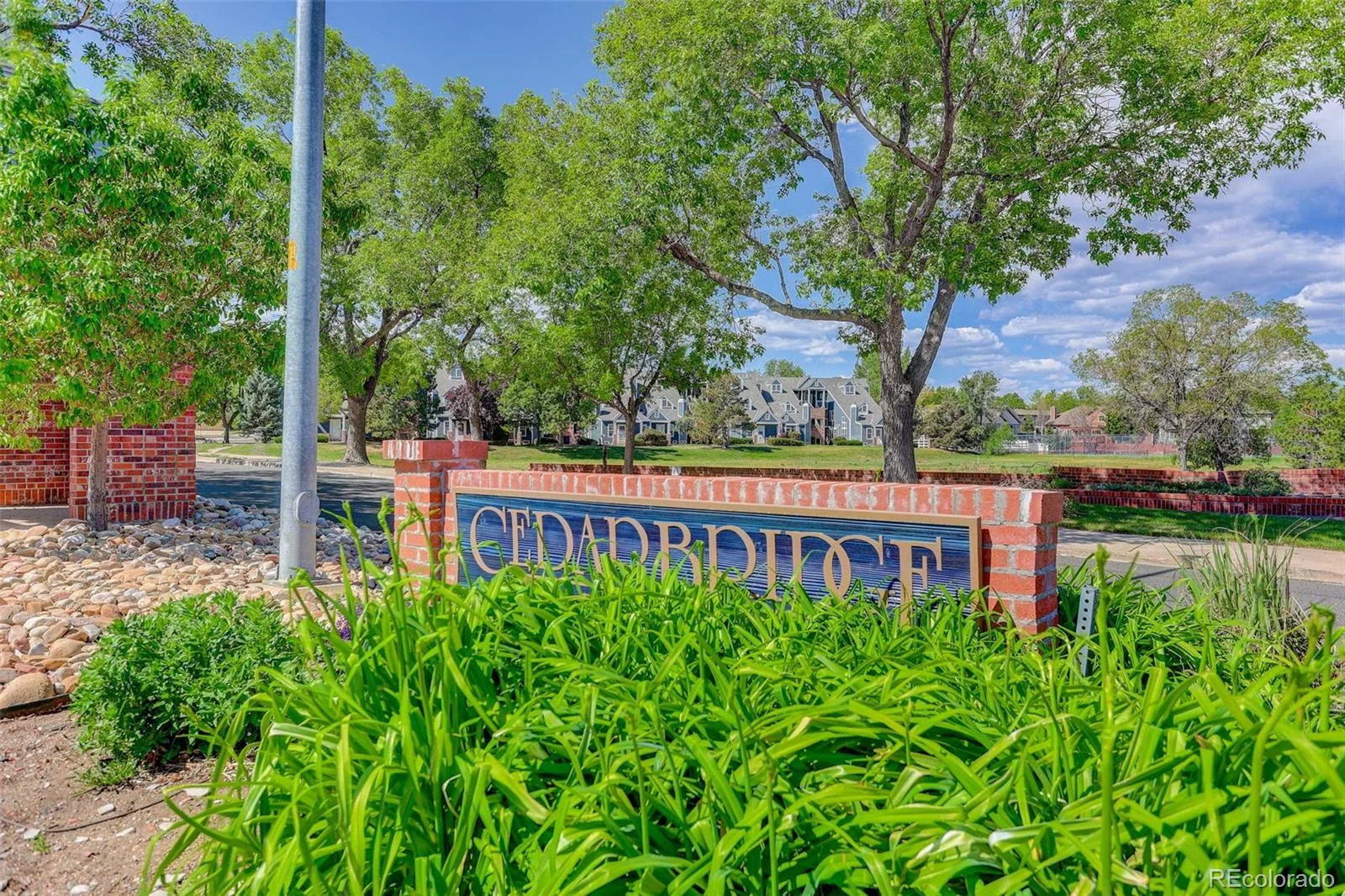 11193 Alcott Street #D Denver CO 80234 | MLS #REC5287839 07272026150309 1600 31