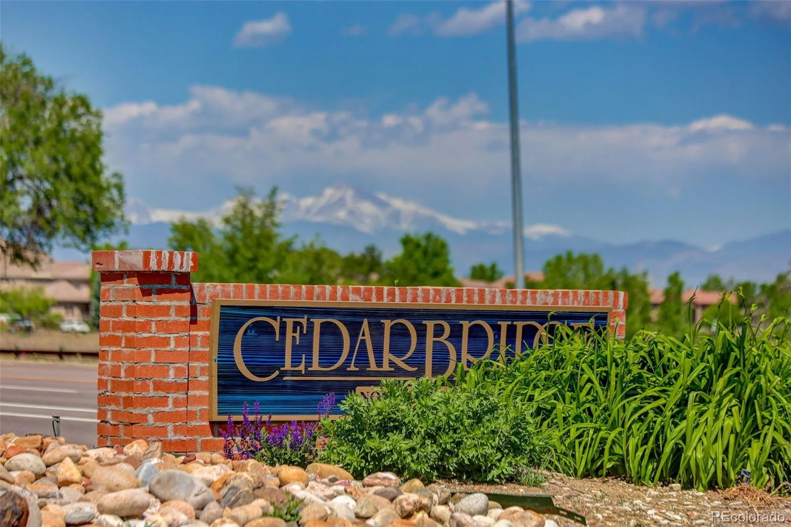 11193 Alcott Street #D Denver CO 80234 | MLS #REC5287839 07272026150309 1600 32