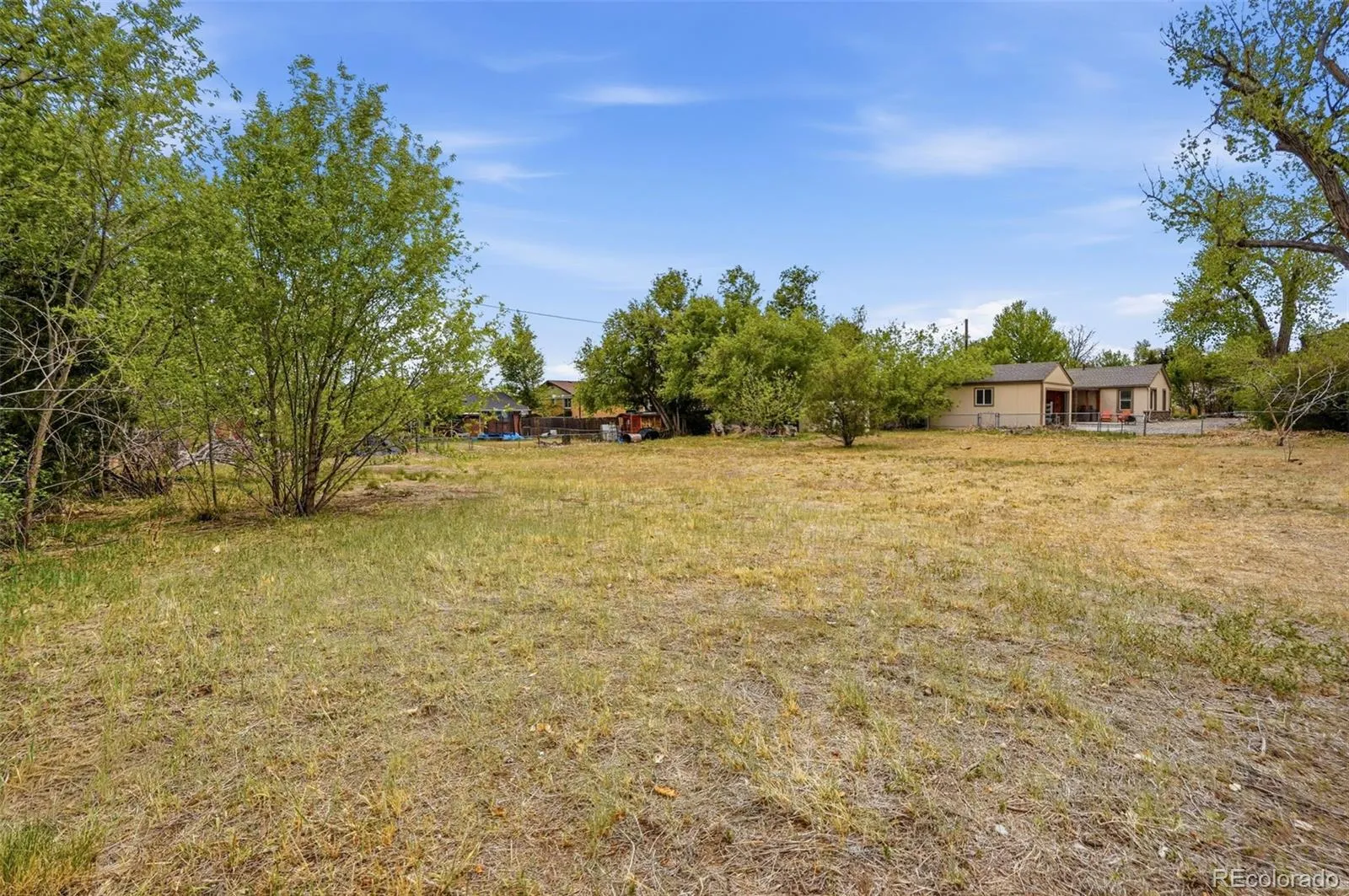 830 Benton Street Lakewood CO 80214 MLS #REC5288339 05122026190533 1600 3