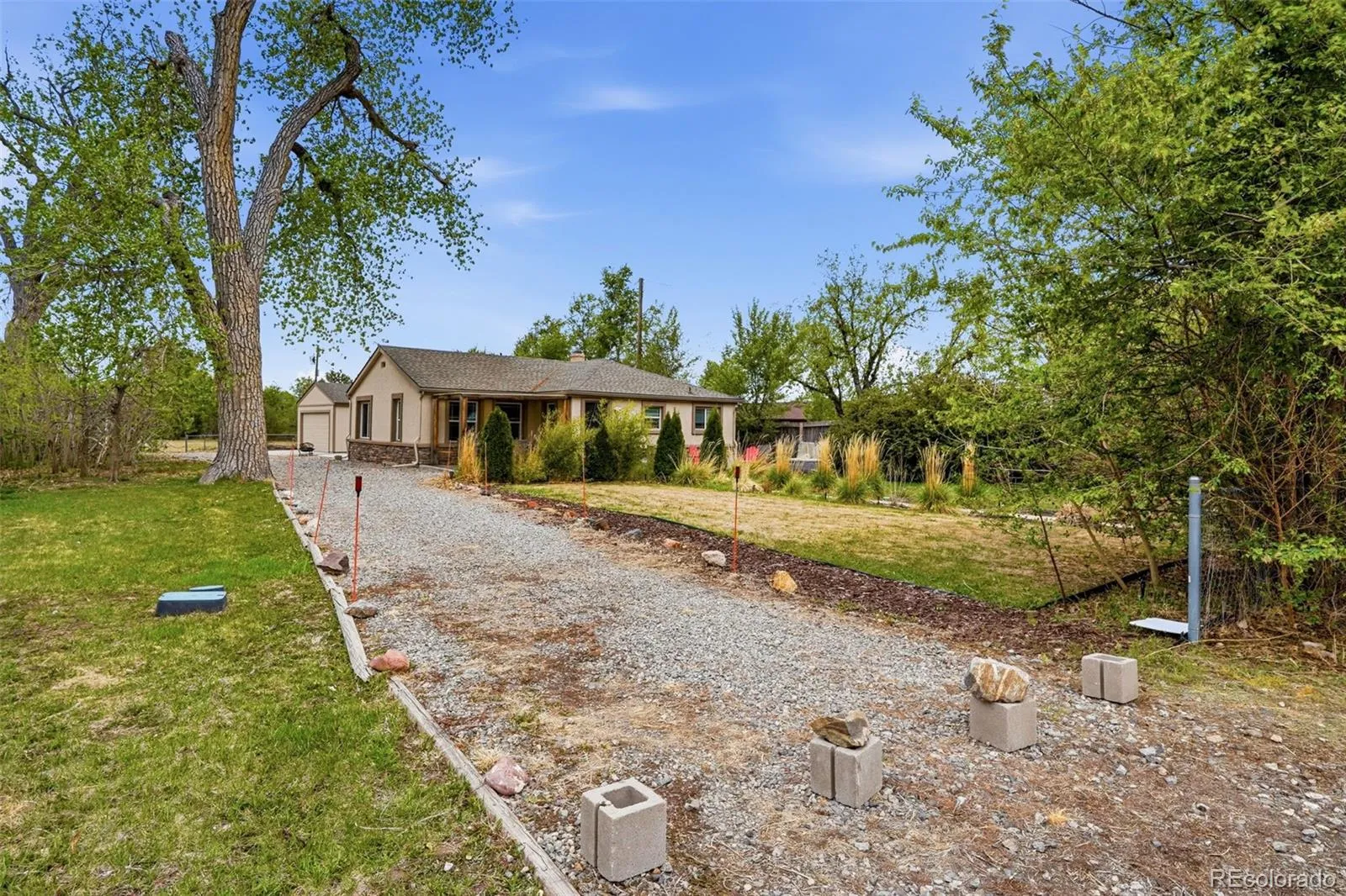 830 Benton Street Lakewood CO 80214 MLS #REC5288339 05122026190533 1600 7