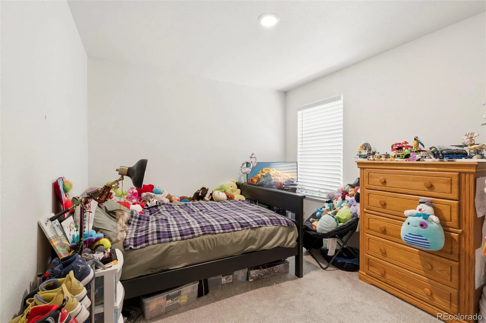 317 Hunter Avenue Brighton CO 80603 | MLS #REC5296063 08142026015417 1600 18
