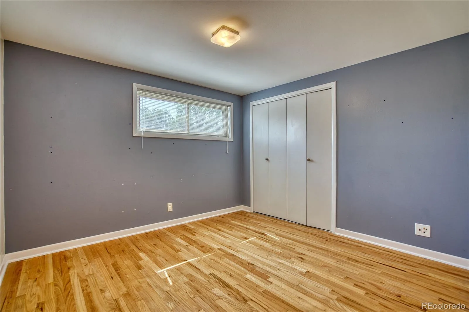 10469 Ronald Lane Northglenn CO 80234 | MLS #REC5298156 07022026063318 1600 15