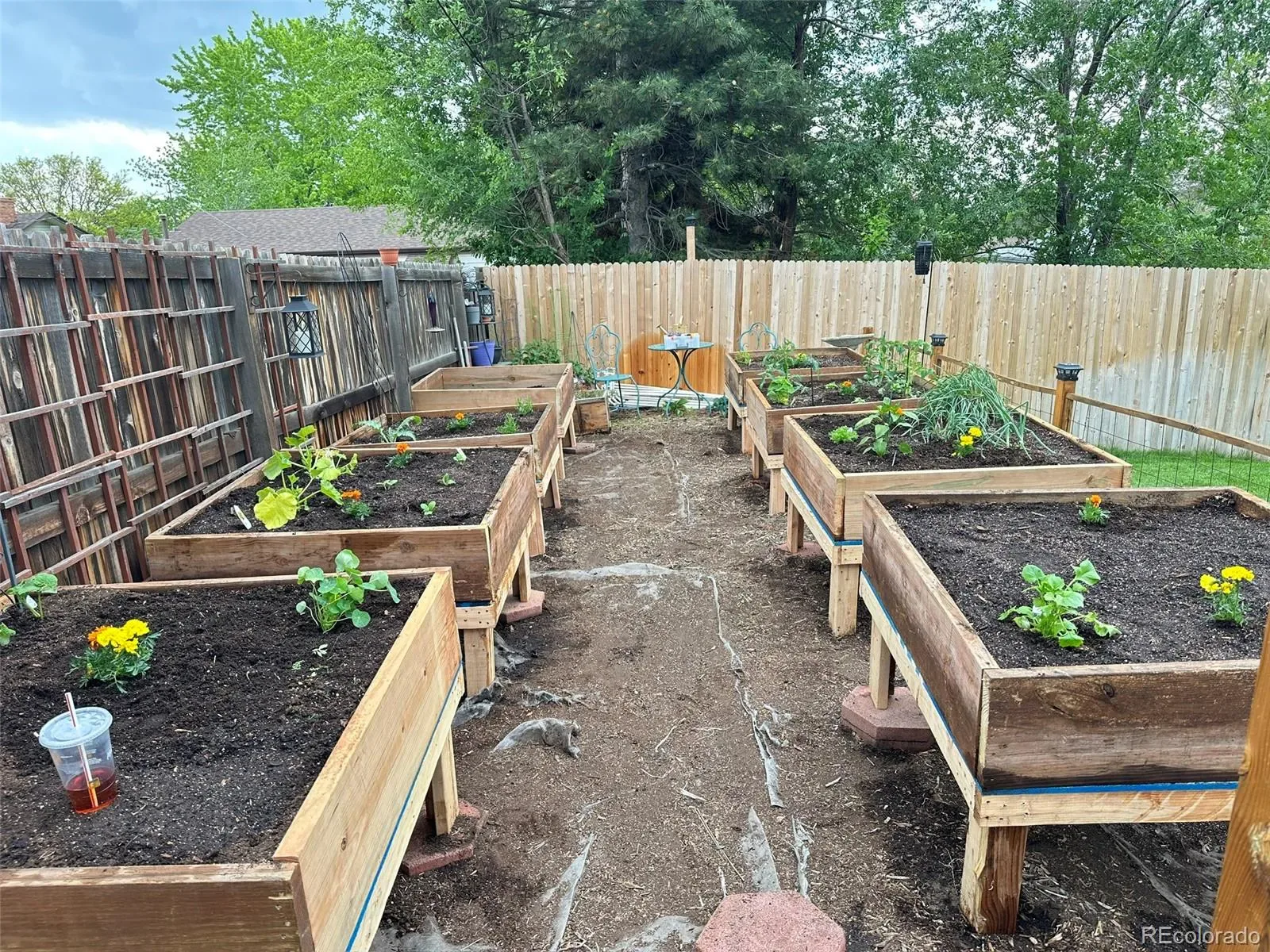 03182026015042 1600 41