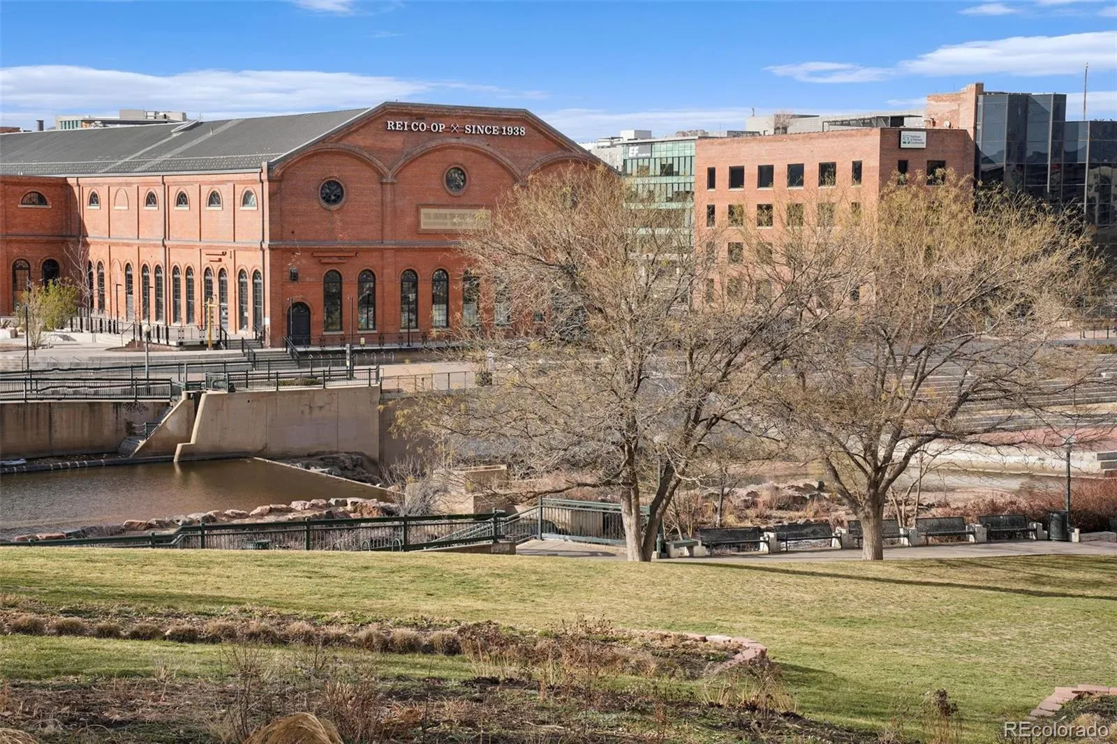 1475 Delgany Street #205 Denver CO 80202 MLS #REC5299785 03172026175608 1600 20