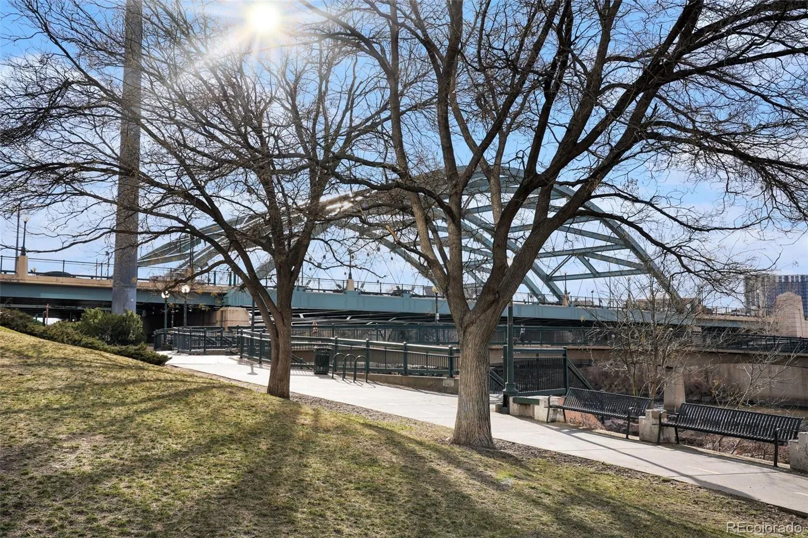 1475 Delgany Street #205 Denver CO 80202 MLS #REC5299785 03172026175608 1600 24