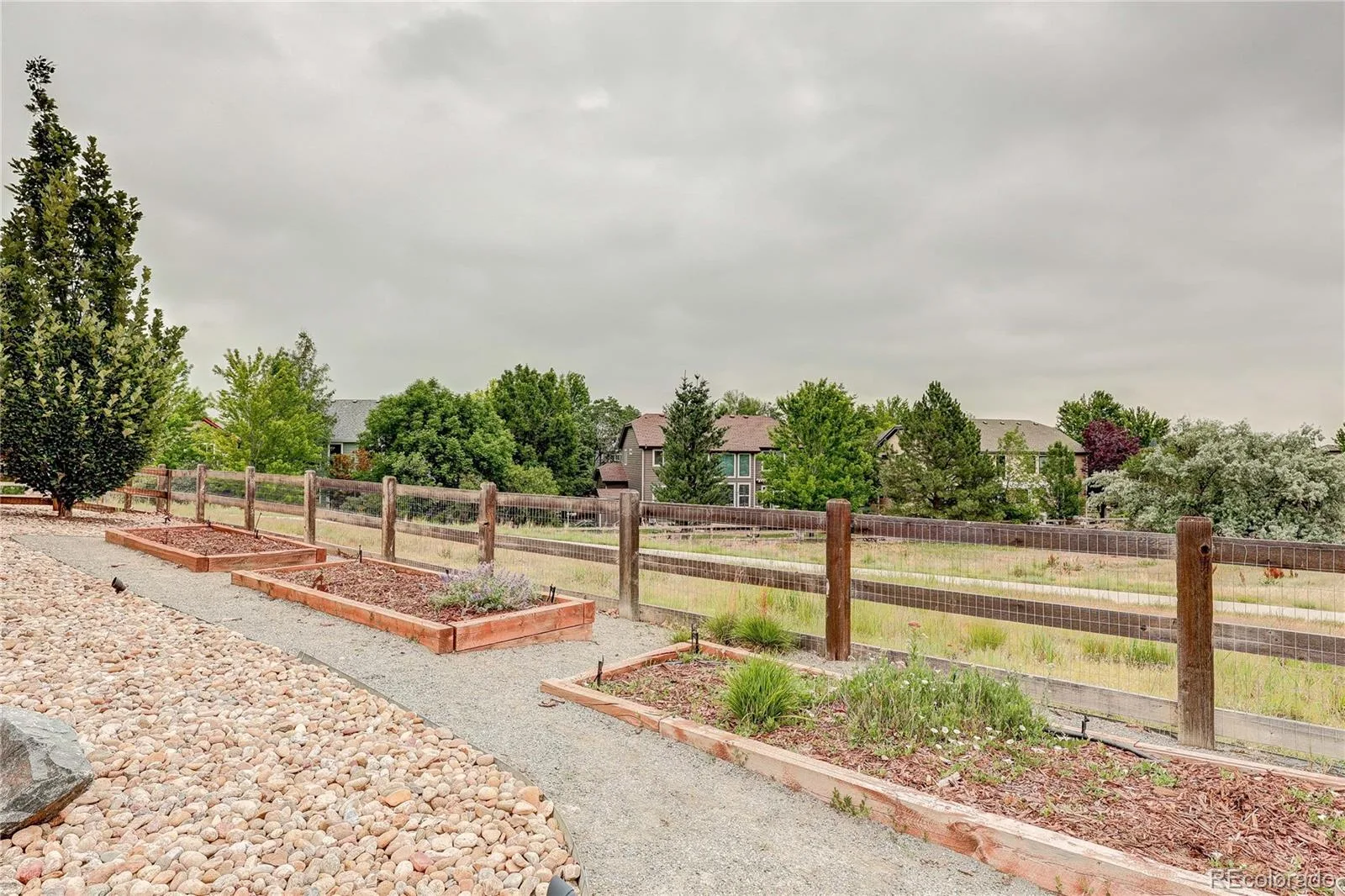 2246 Front Range Court Erie CO 80516 | MLS #REC5307428 07312026002718 1600 5