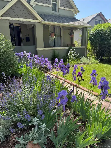 03042026191925 800 45