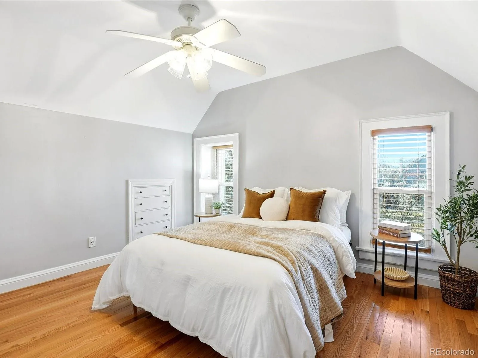246 S Grant Street Denver CO 80209 MLS #REC5315807 05232026094505 1600 33