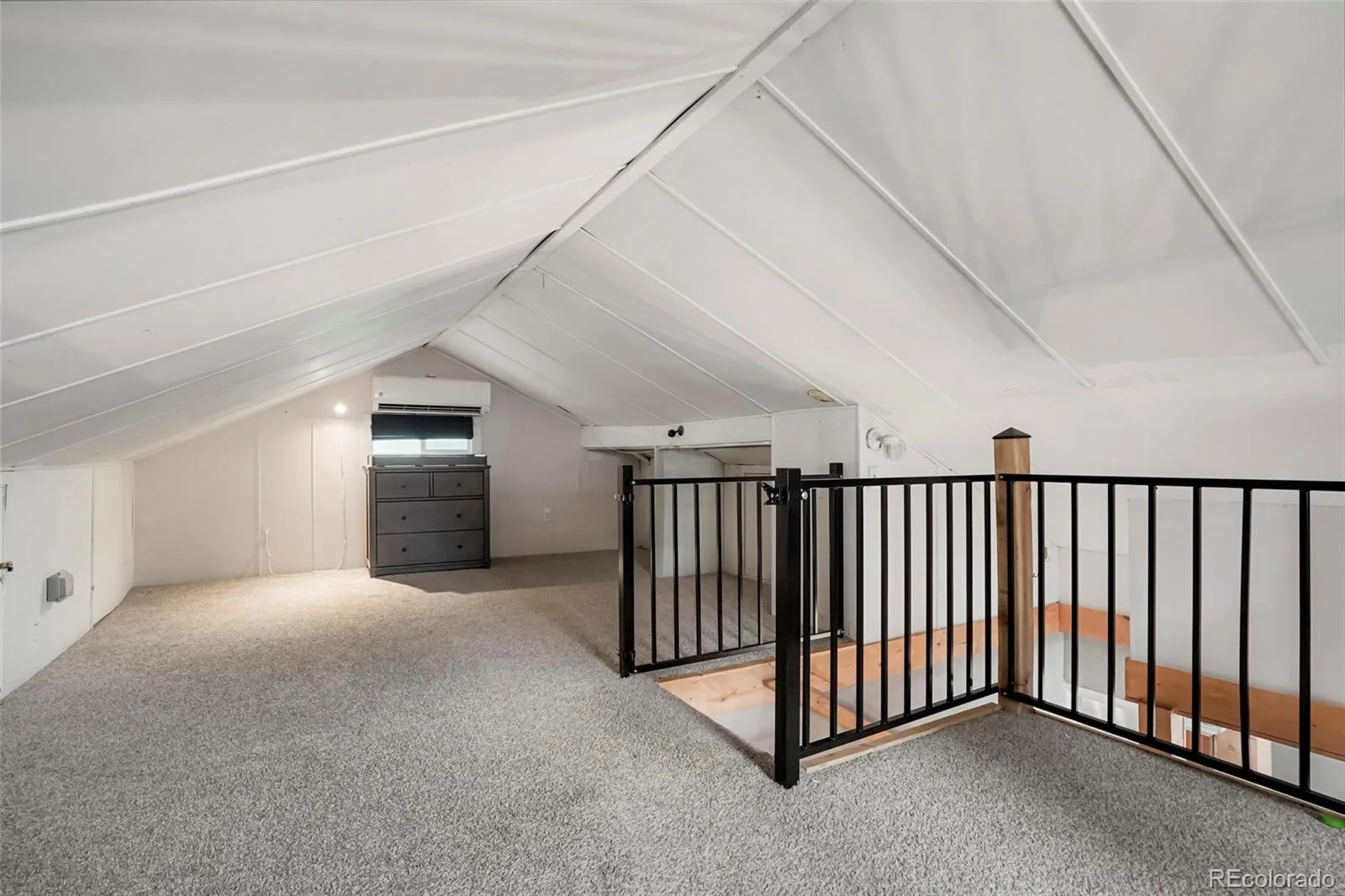 1865 S Downing Street Denver CO 80210 | MLS #REC5318535 07302026213758 1600 19