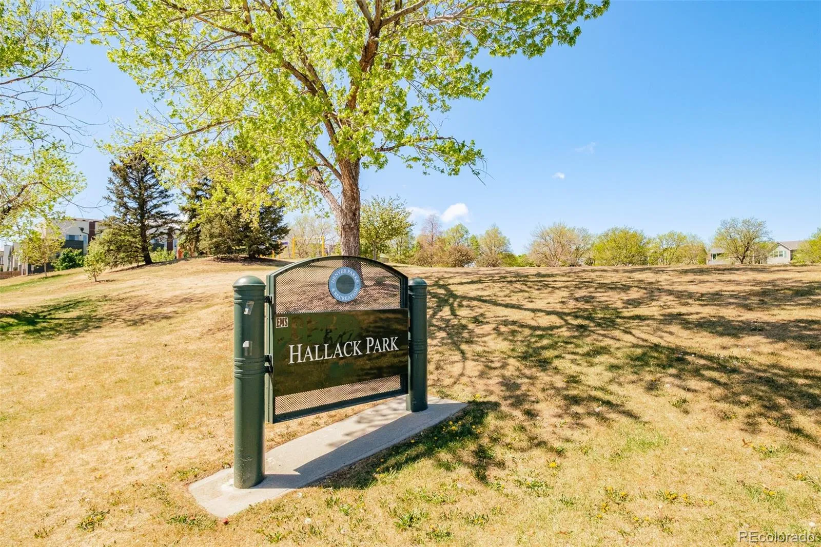 3351 W 20th Avenue Denver CO 80211 MLS #REC5321057 04292026153703 1600 40