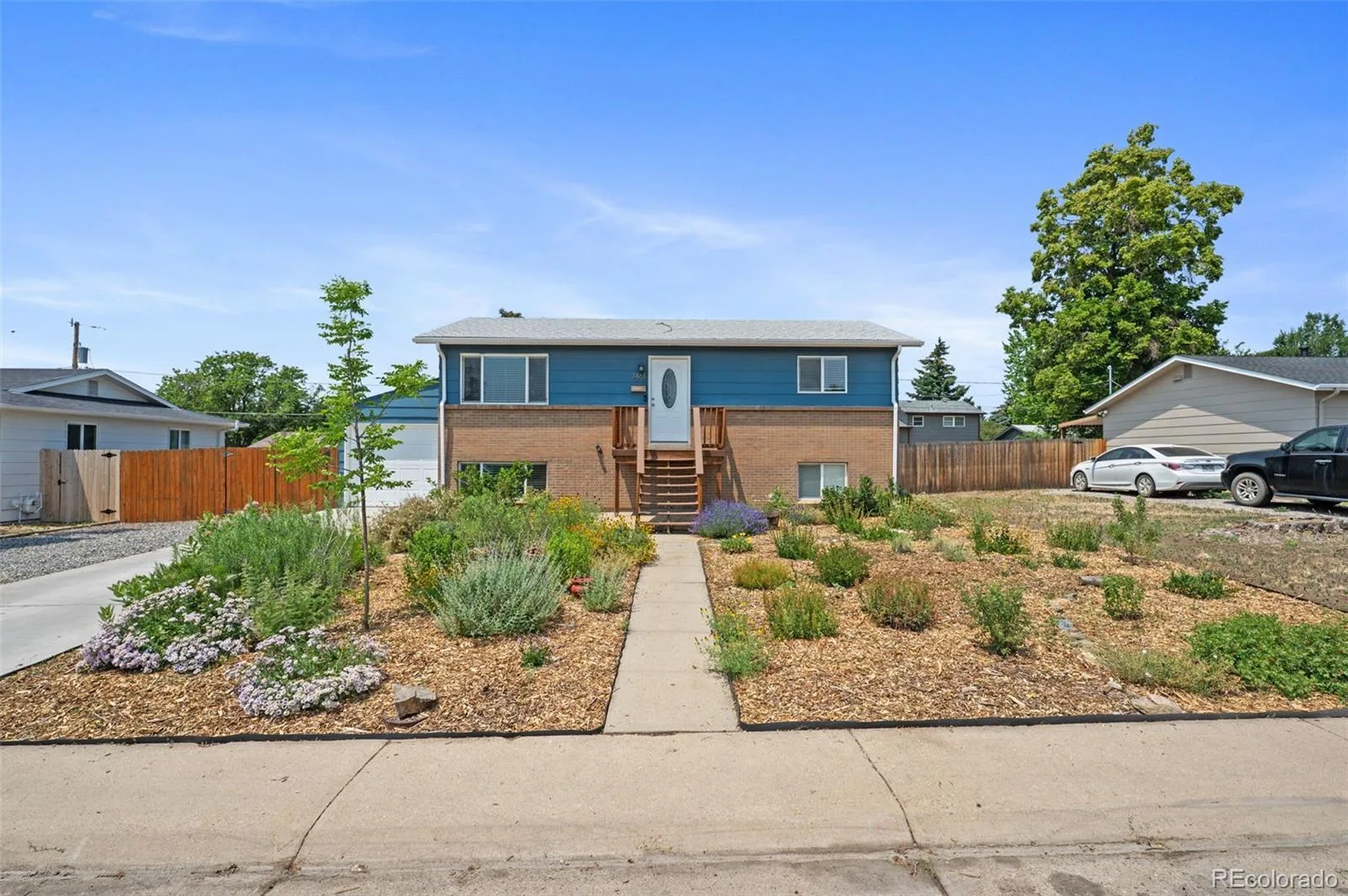 7461 Winona Court Westminster CO 80030 MLS #REC5330278 06252026224959 1600 1