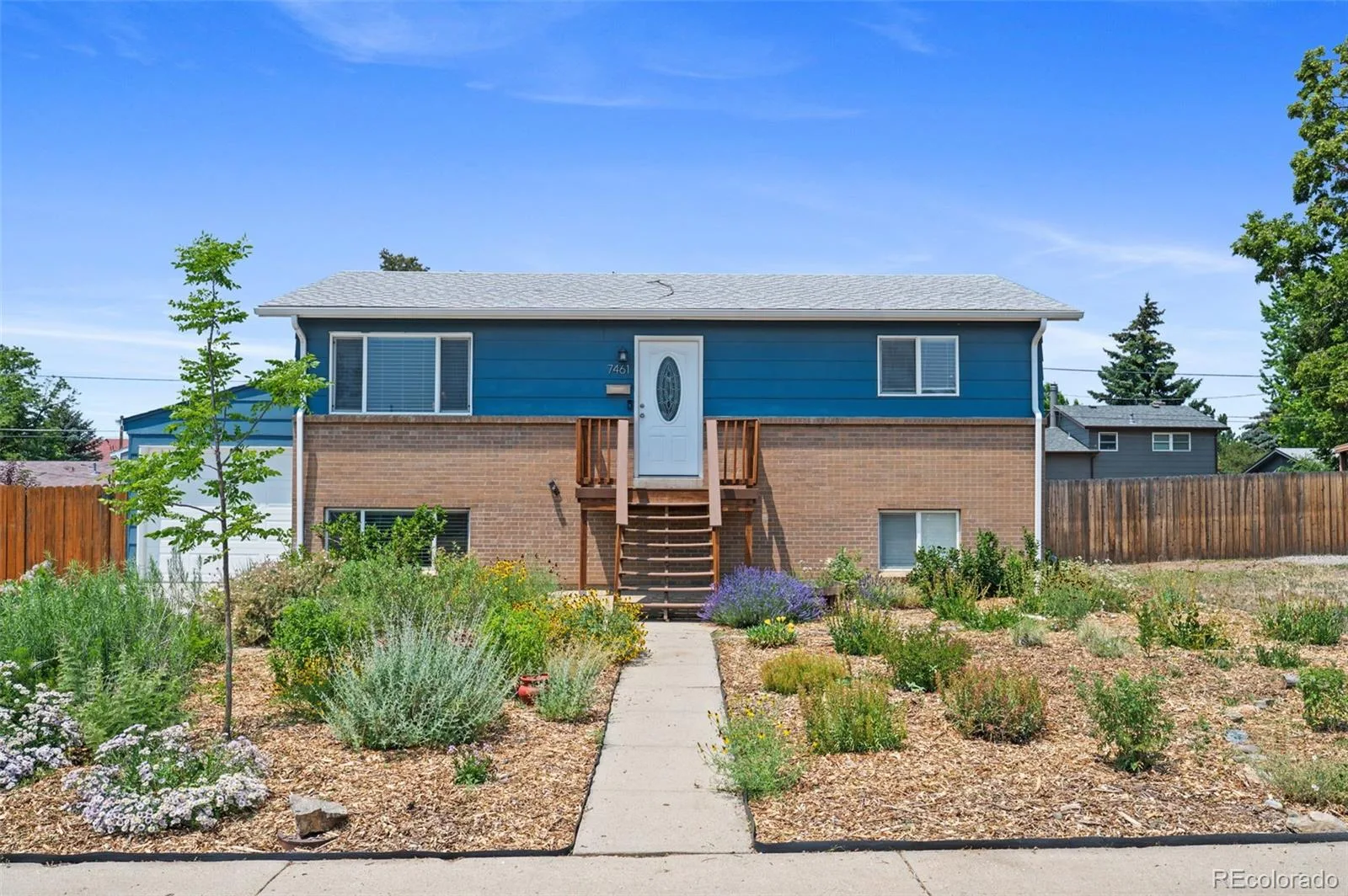 7461 Winona Court Westminster CO 80030 MLS #REC5330278 06252026224959 1600 31