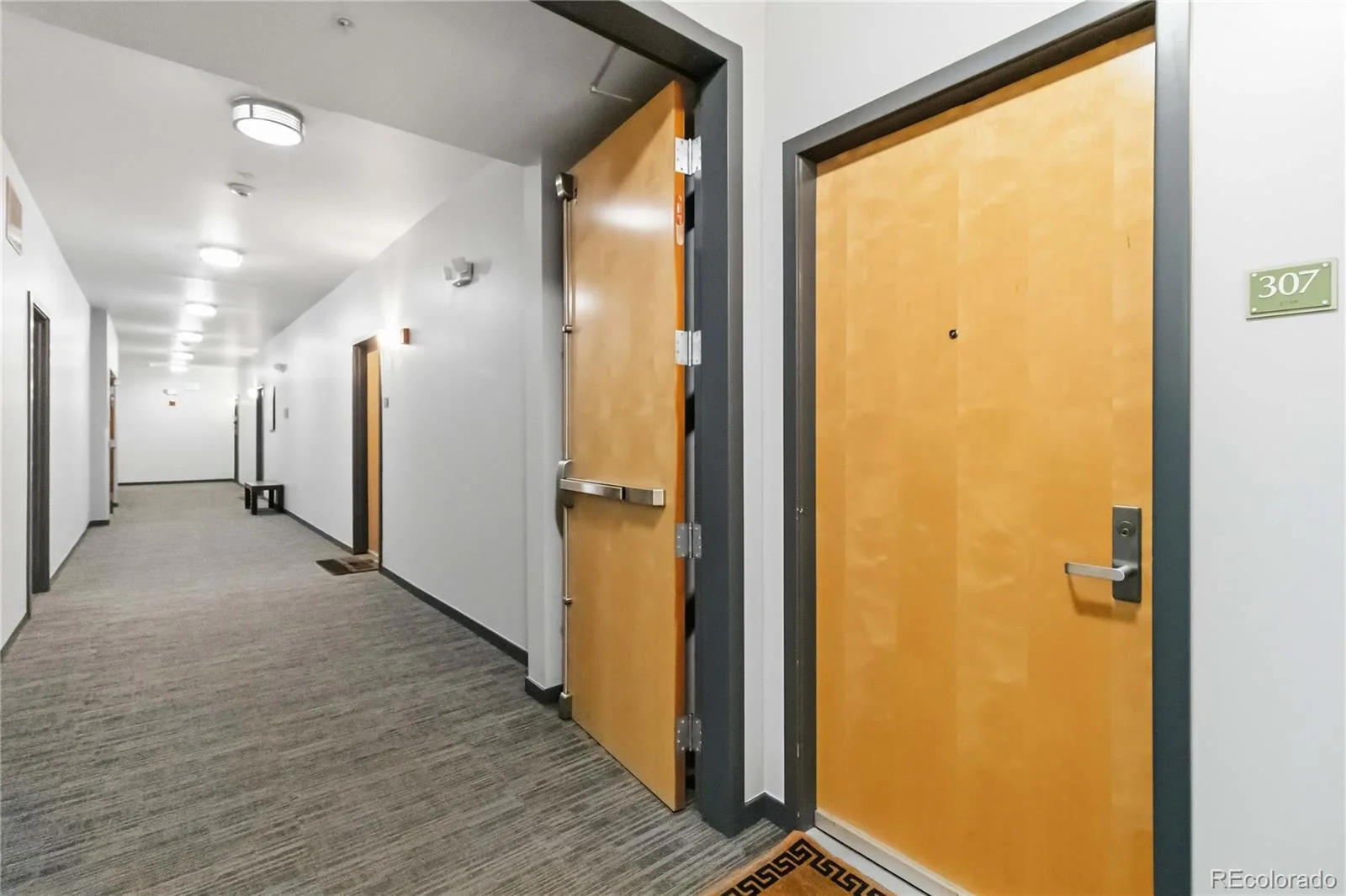 1438 Little Raven Street #307 Denver CO 80202 MLS #REC5336705 06262026182410 1600 19