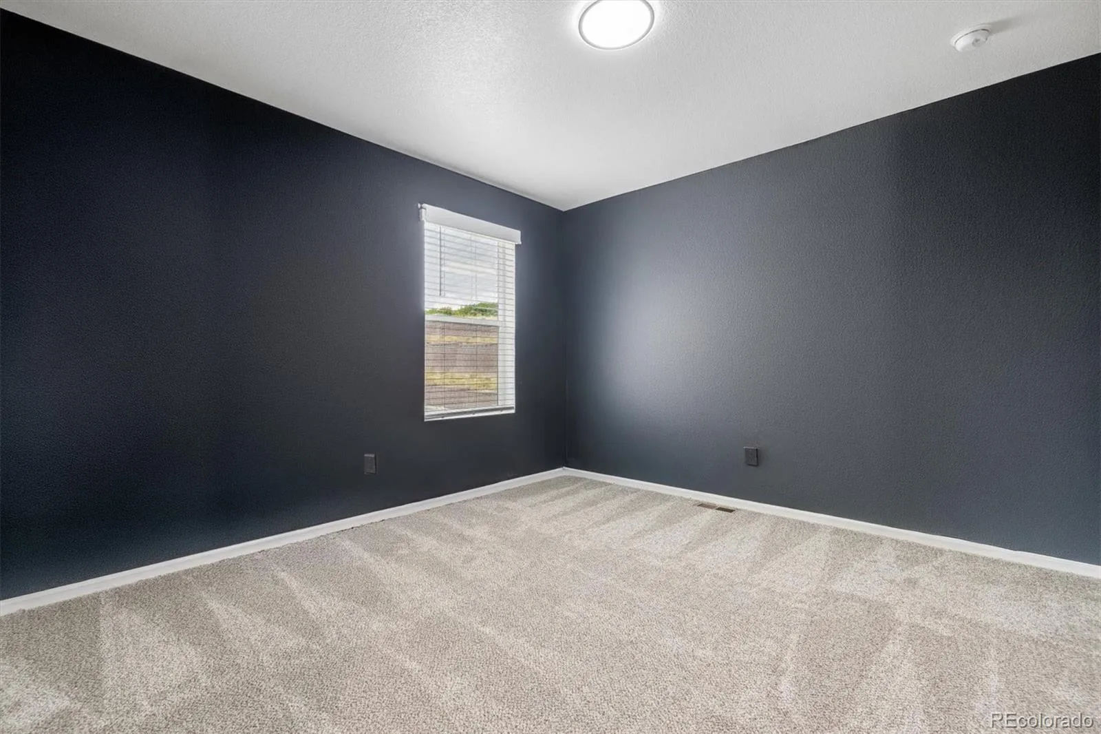 5823 Plains End Court Castle Rock CO 80104 | MLS #REC5338357 08112026231621 1600 21