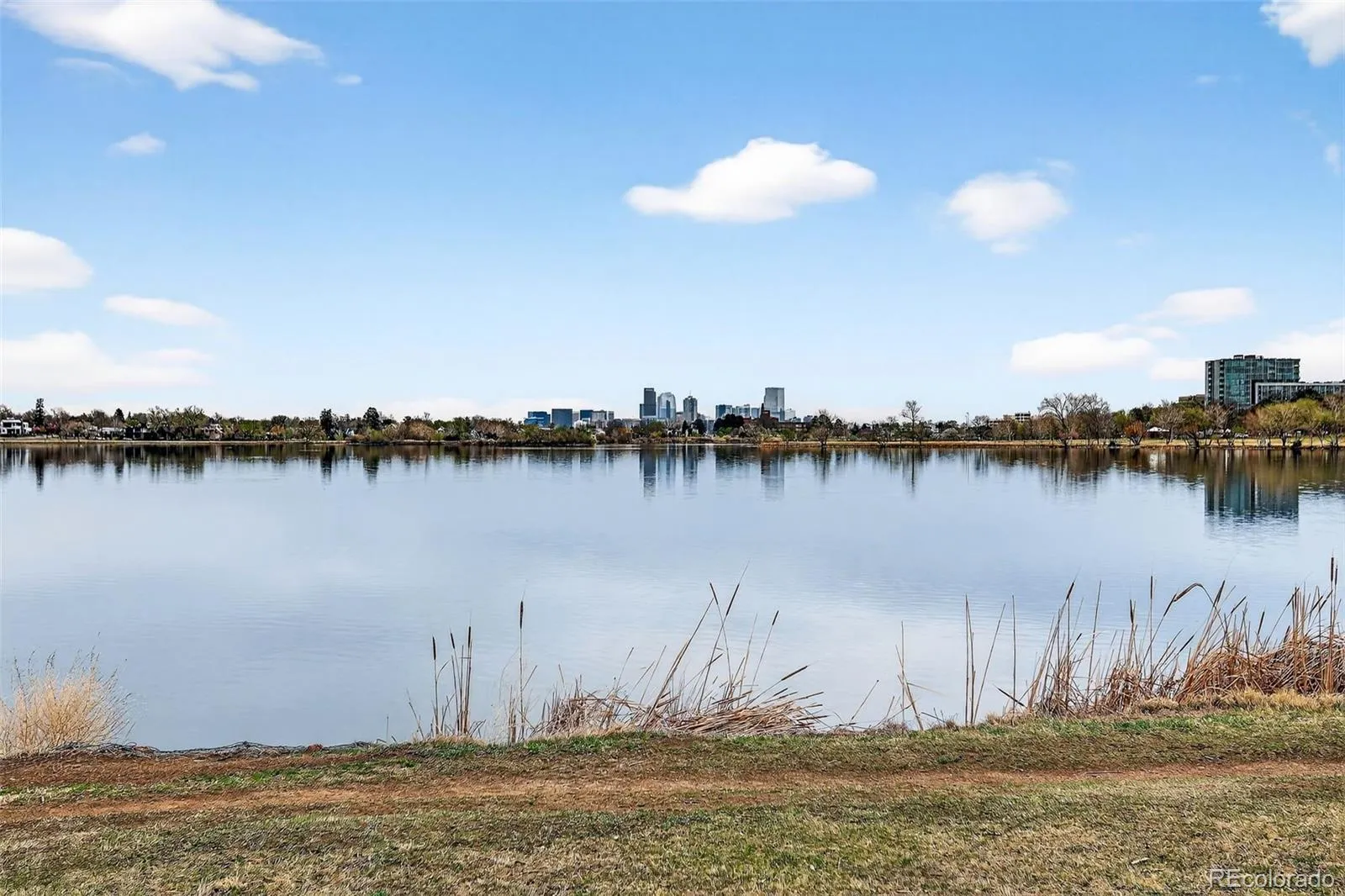 1830 Newland Court #202 Lakewood CO 80214 MLS #REC5341969 04042026005622 1600 26
