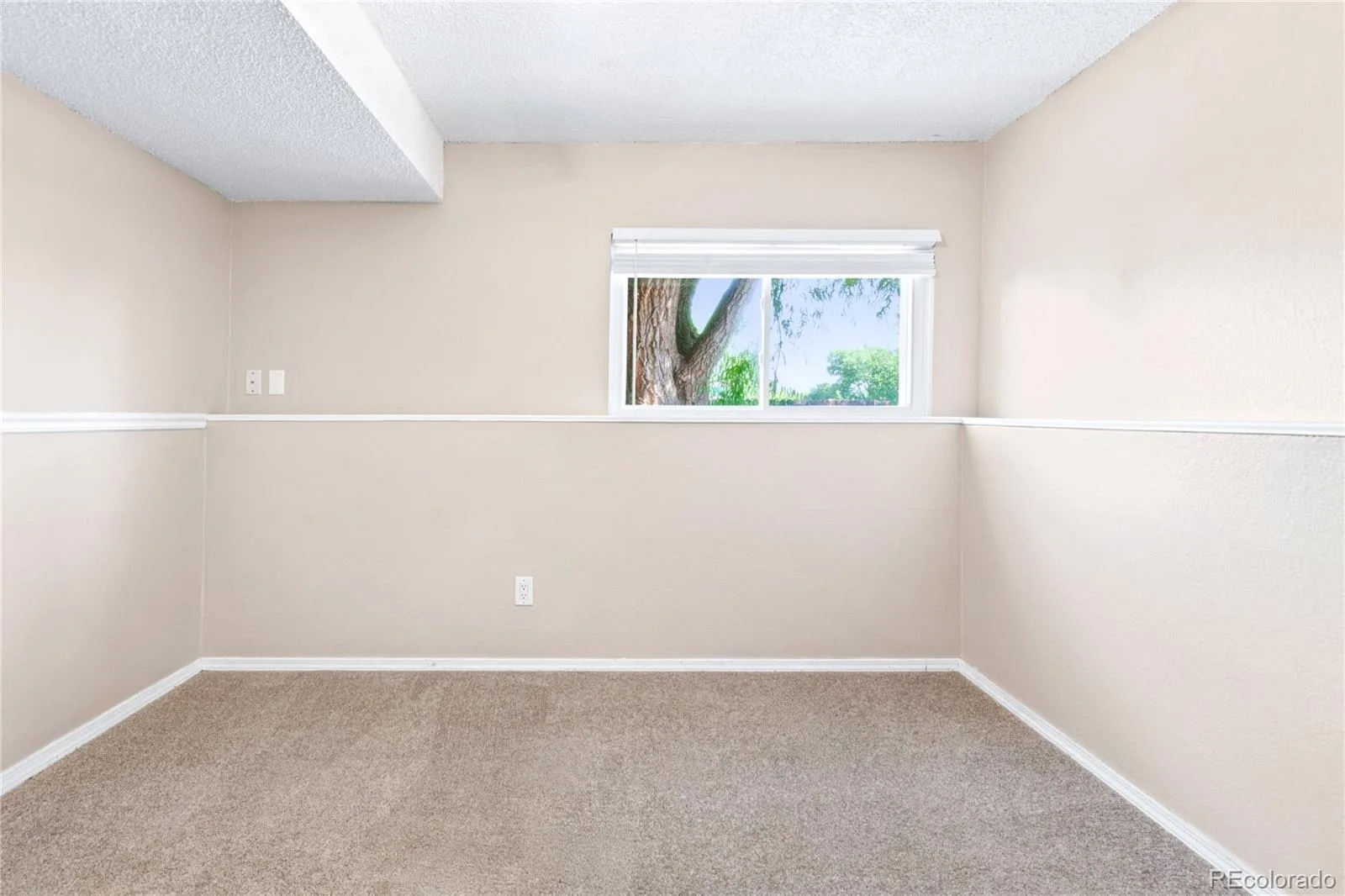 9202 W 94th Avenue Westminster CO 80021 | MLS #REC5345552 08202026230958 1600 19