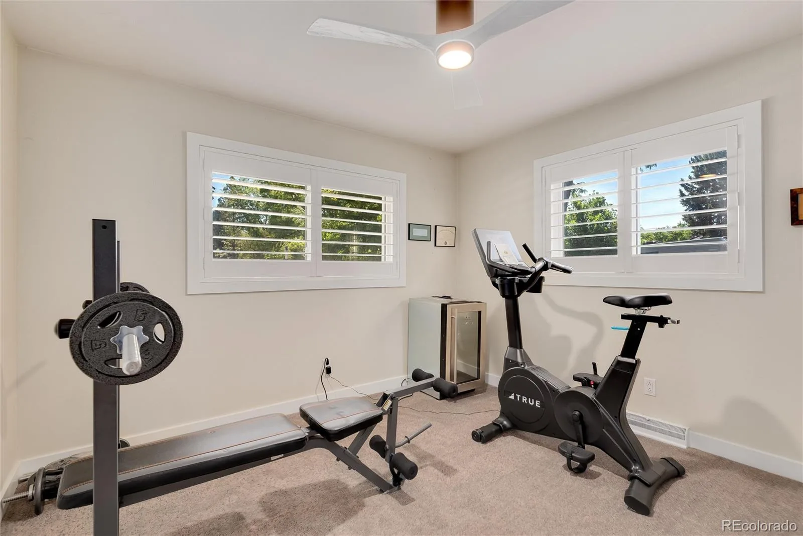 329 Pierce Street Lakewood CO 80226 | MLS #REC5347858 10152026192937 1600 31