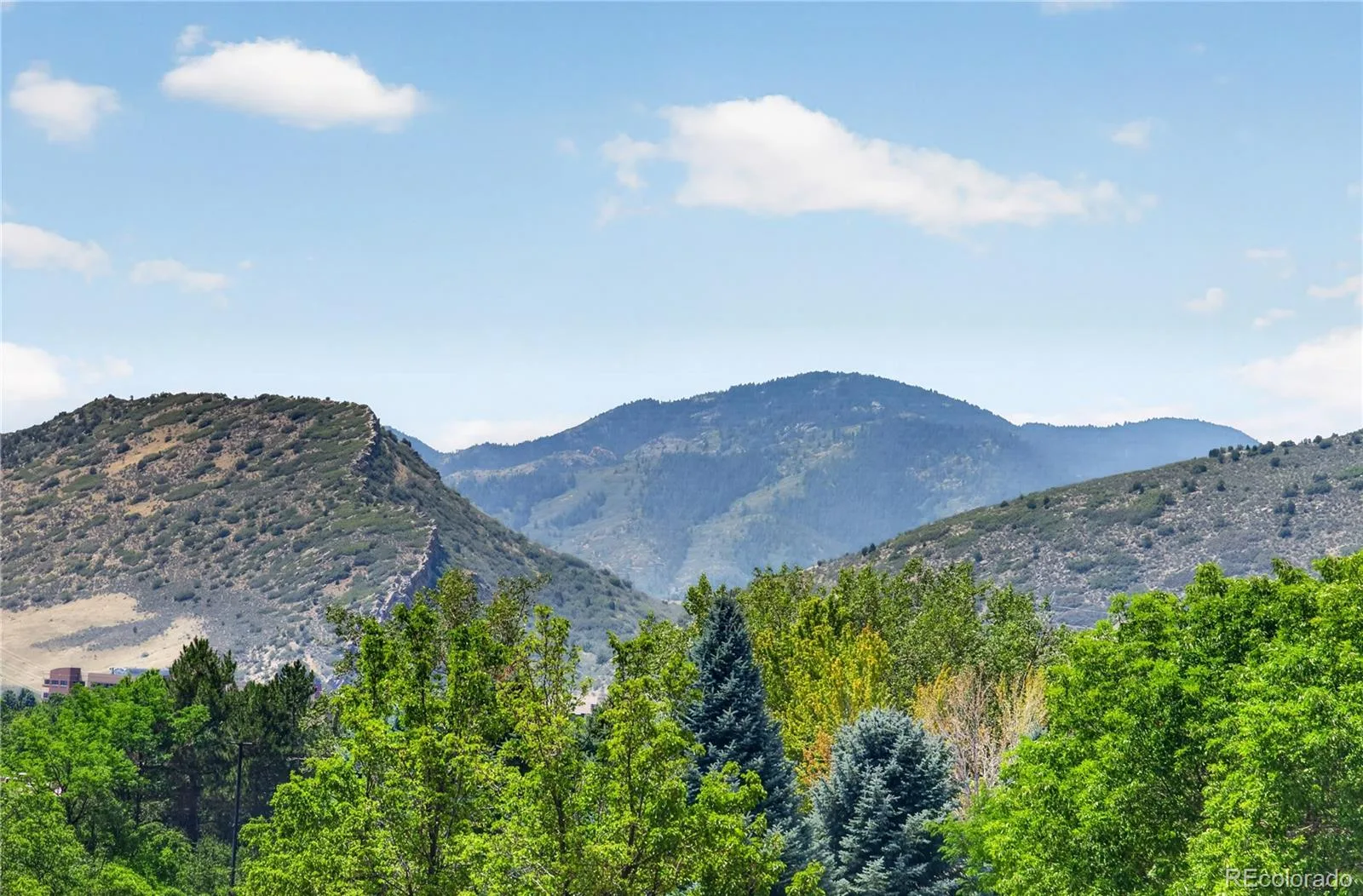10594 Park E Mountain Littleton CO 80127 | MLS #REC5356293 07312026211048 1600 38