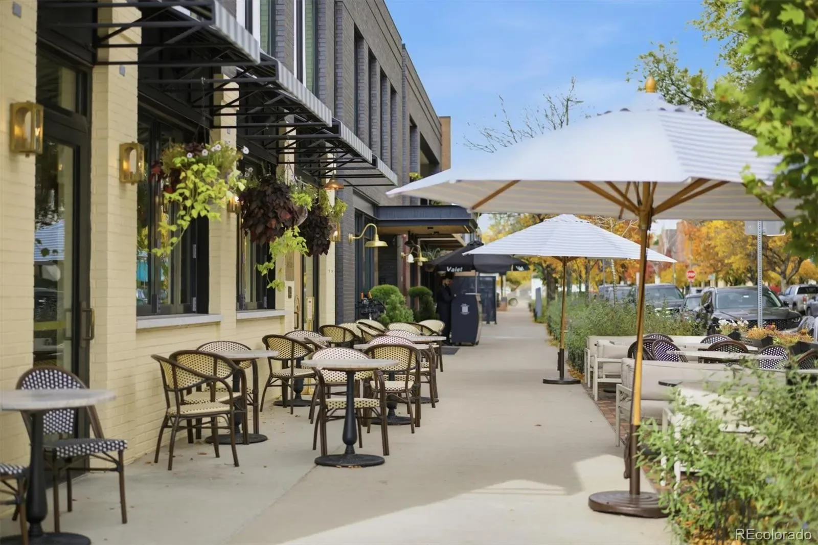 03172026222733 1600 41