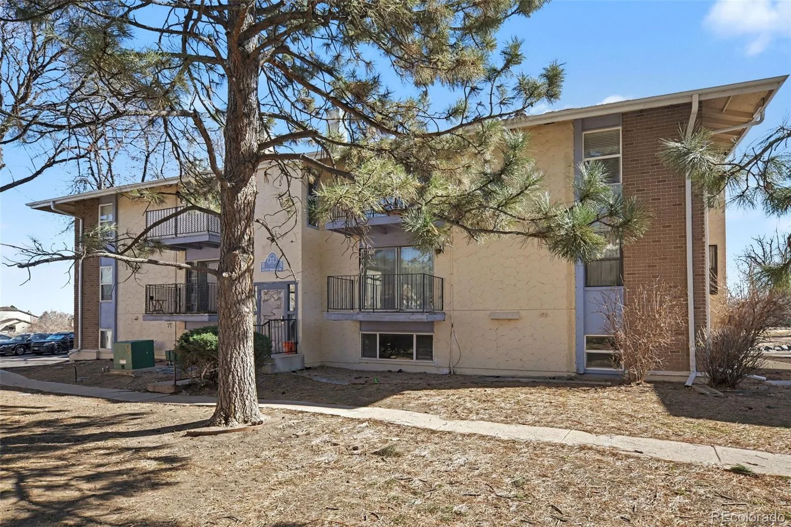 12124 Melody Drive #101 Denver CO 80234 | MLS #REC5361390 08272026224447 1600 8