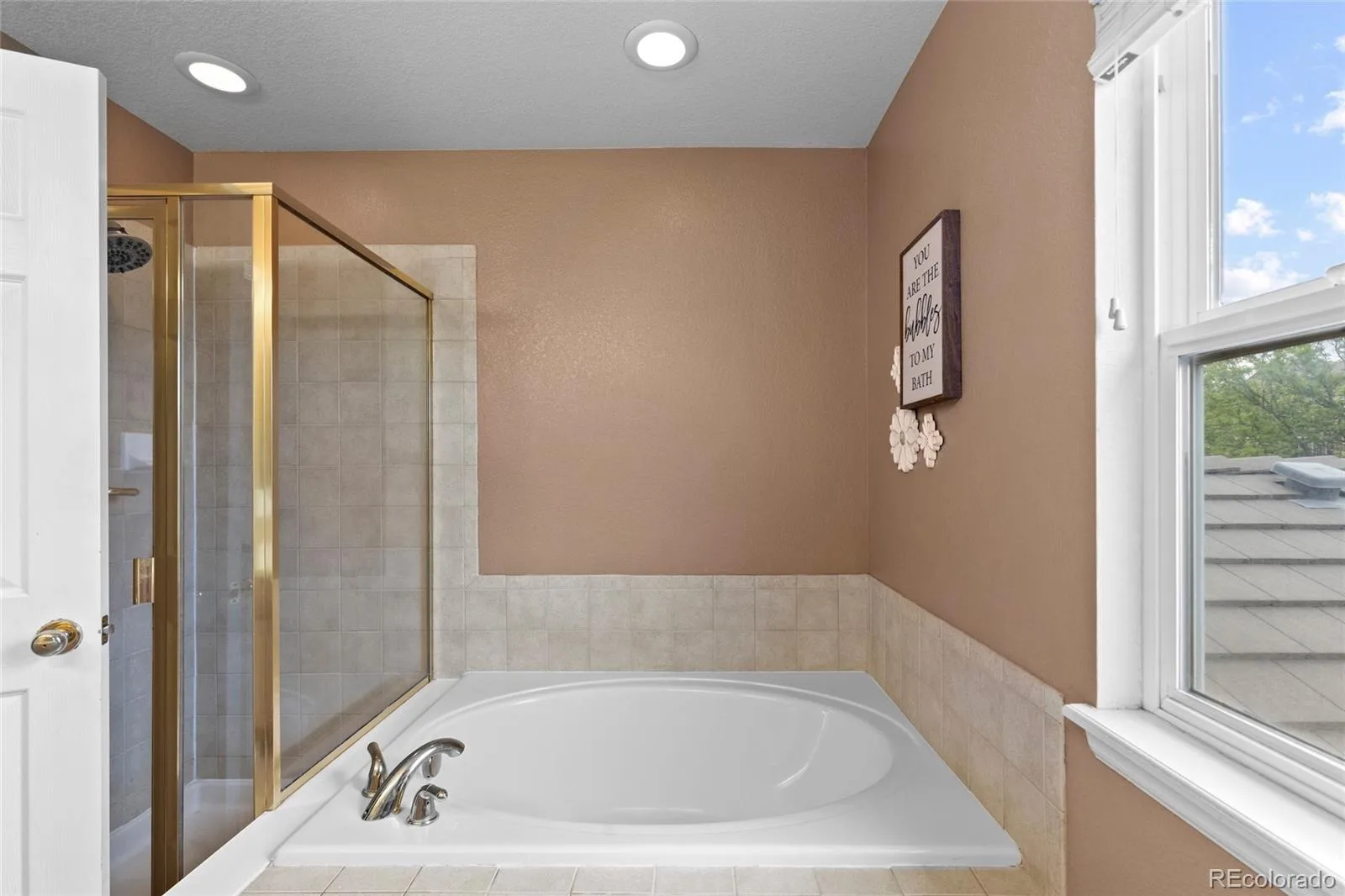 10288 Hadrian Court Parker CO 80134 MLS #REC5361823 07312026142809 1600 21