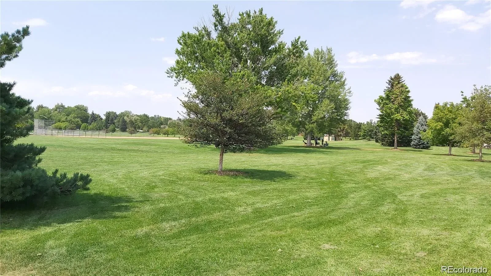 03132026210115 1600 32