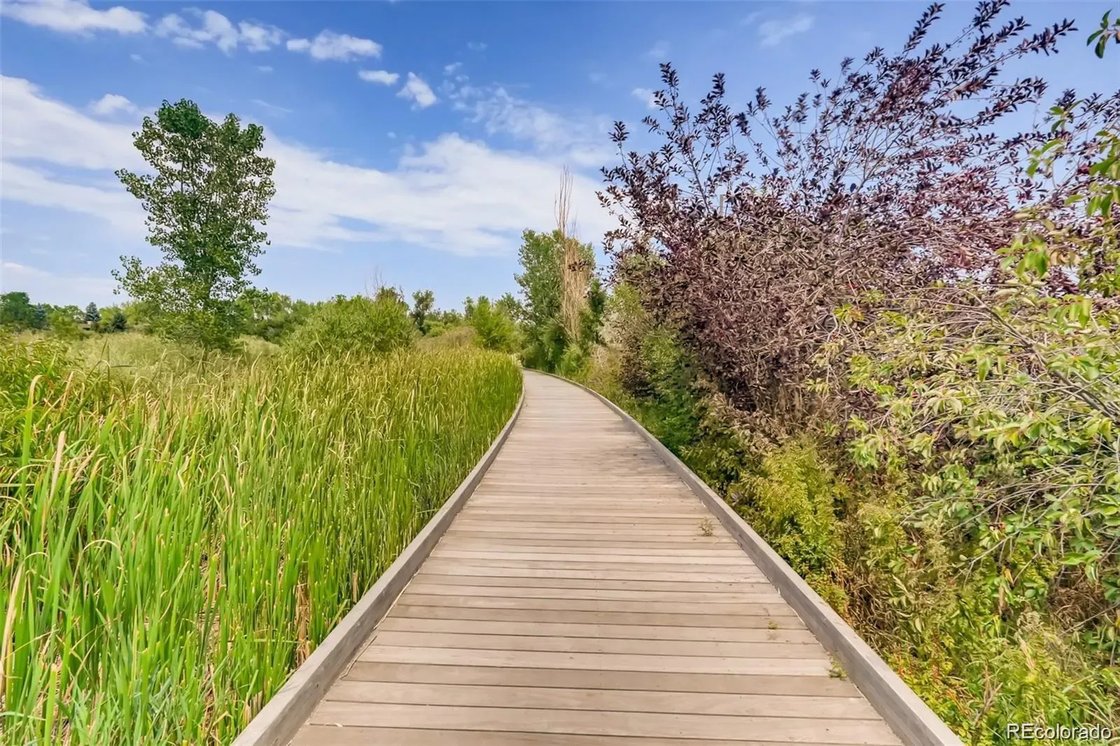 03132026210115 1600 34