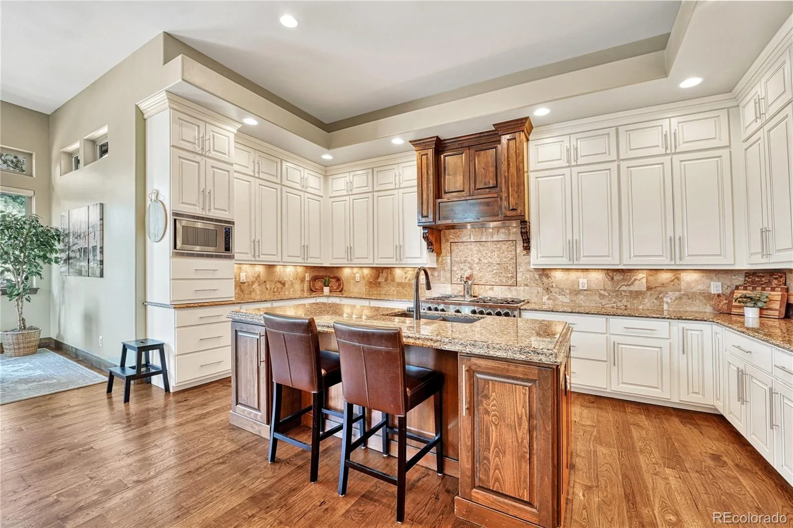 5656 Majestic Oak Way Parker CO 80134 | MLS #REC5373424 07072026223945 1600 11