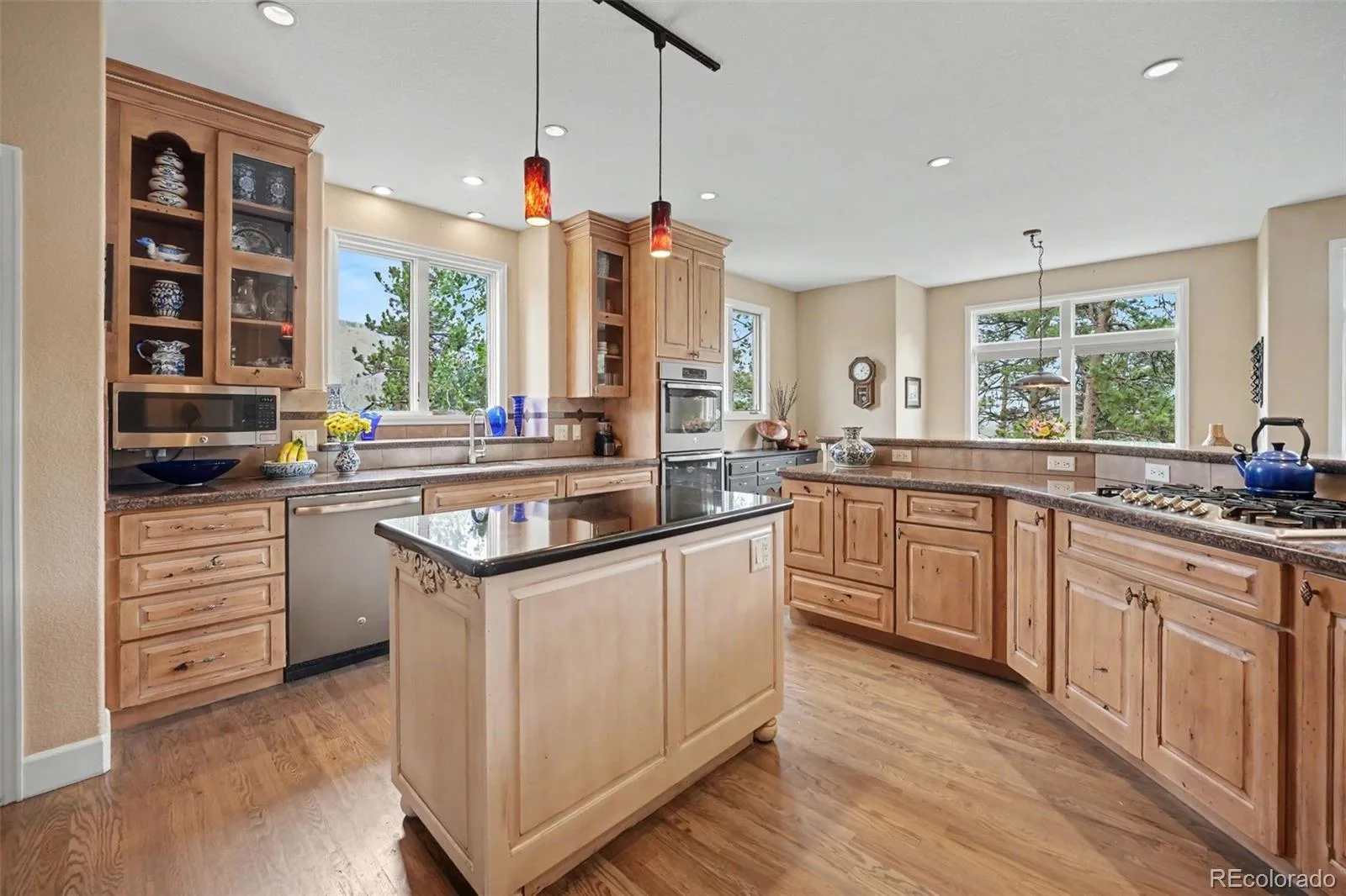 33926 Columbine Circle Evergreen CO 80439 | MLS #REC5373589 07032026164010 1600 8