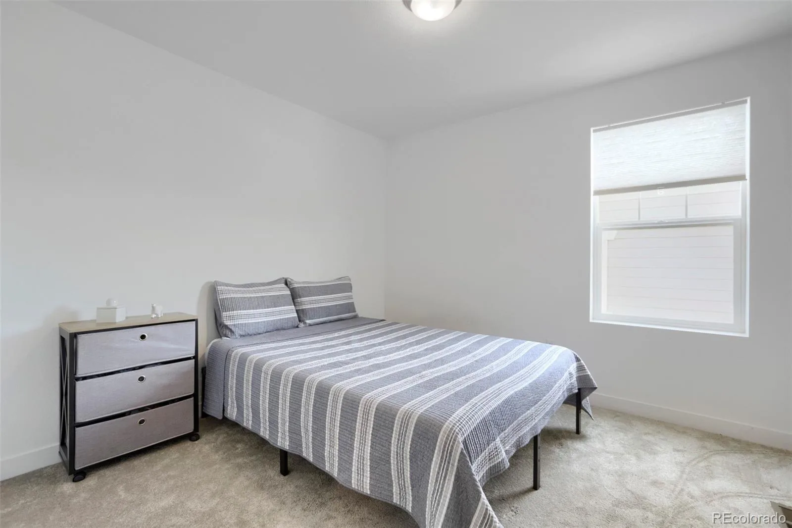 5581 Tamarack Avenue Longmont CO 80504 | MLS #REC5375544 08072026144059 1600 10