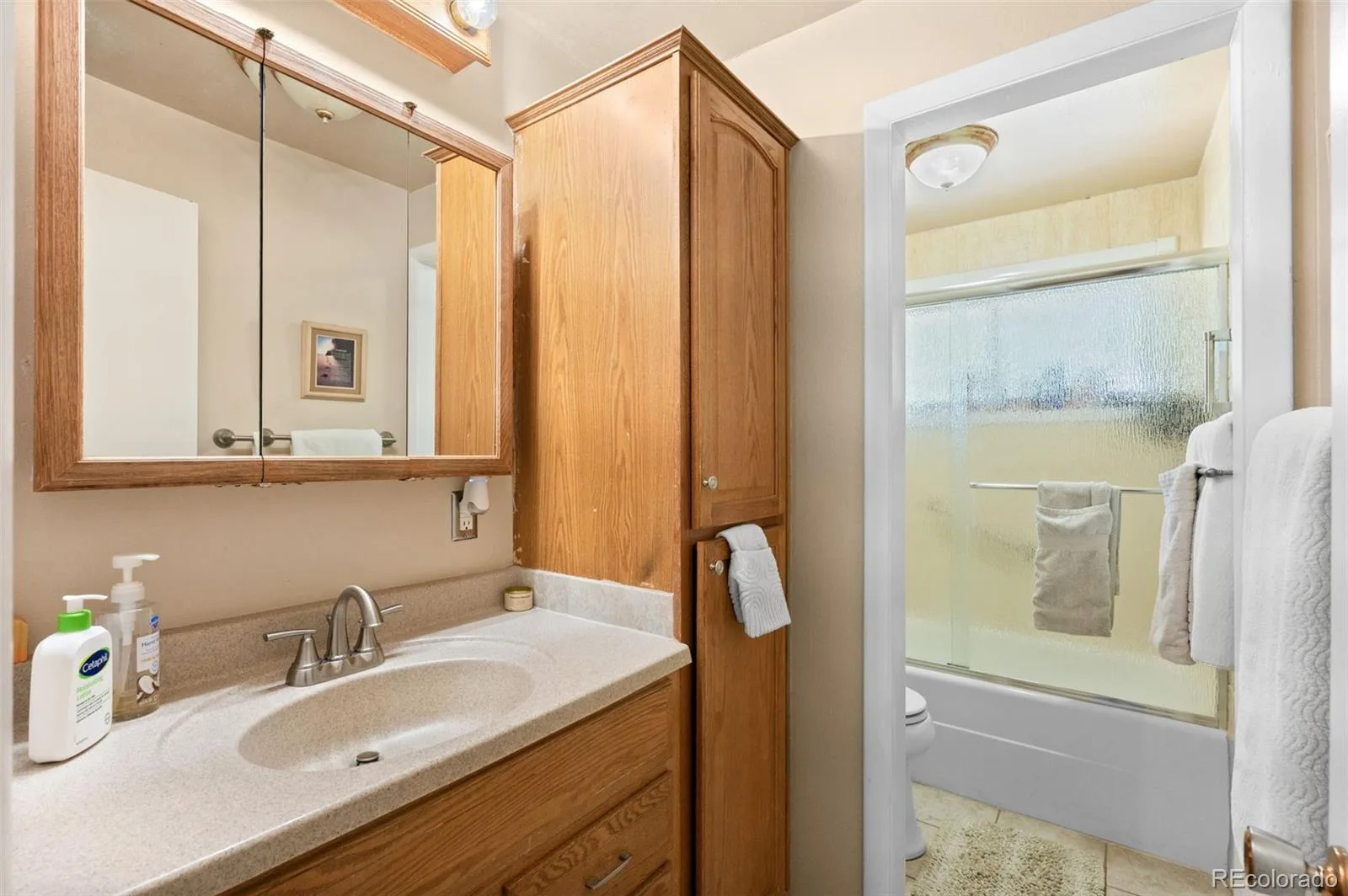 2896 E Euclid Place Centennial CO 80121 | MLS #REC5381243 08272026224602 1600 19