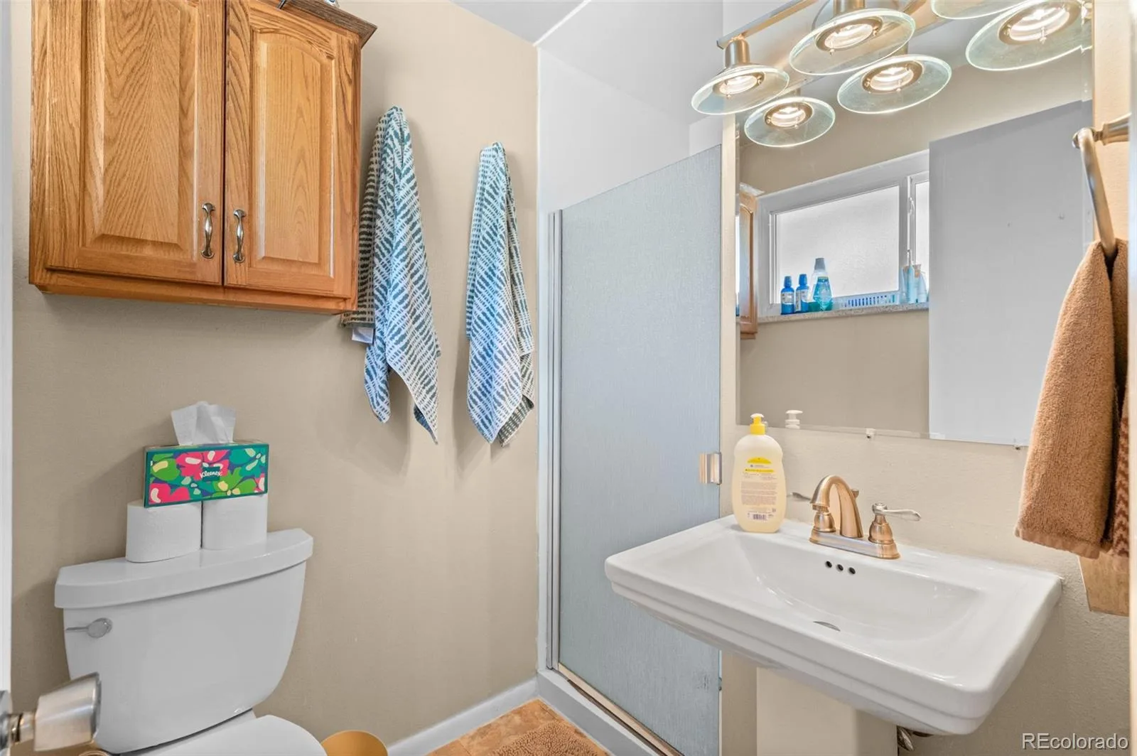 2896 E Euclid Place Centennial CO 80121 | MLS #REC5381243 08272026224602 1600 22