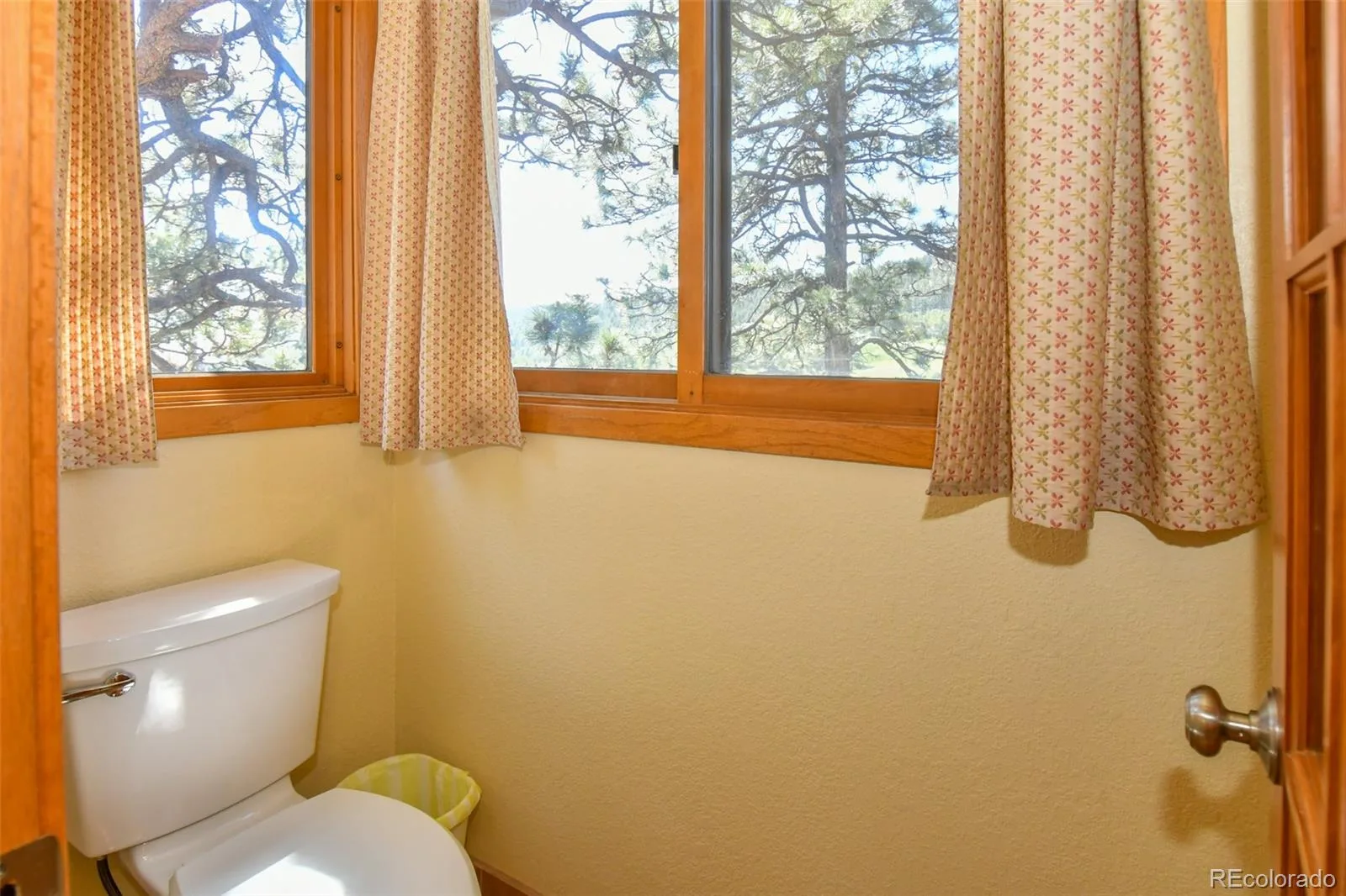 25758 Summergreen Lane Golden CO 80401 | MLS #REC5382990 06042026141748 1600 37