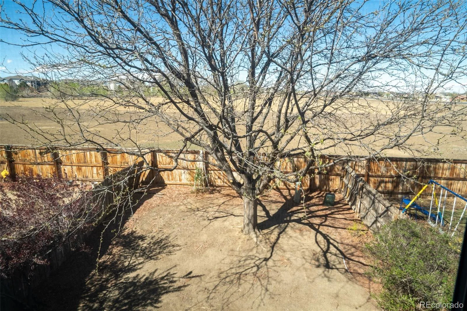 3825 E 94th Avenue Thornton CO 80229 | MLS #REC5390045 08262026154802 1600 24