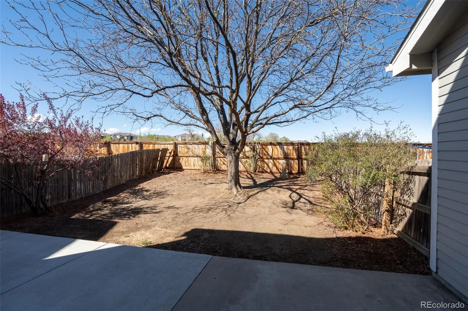 3825 E 94th Avenue Thornton CO 80229 | MLS #REC5390045 08262026154802 1600 25