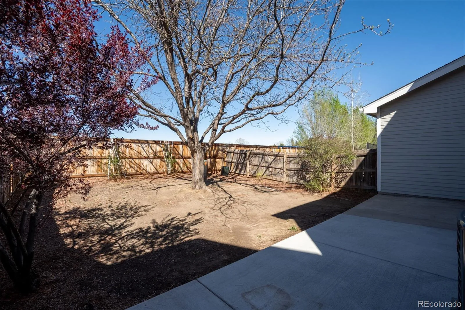 3825 E 94th Avenue Thornton CO 80229 | MLS #REC5390045 08262026154802 1600 27