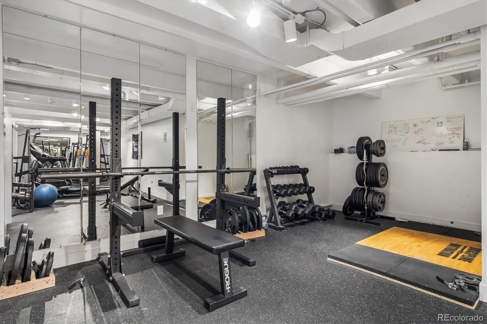 1255 N Ogden Street #205 Denver CO 80218 MLS #REC5403472 03122026135335 1600 25