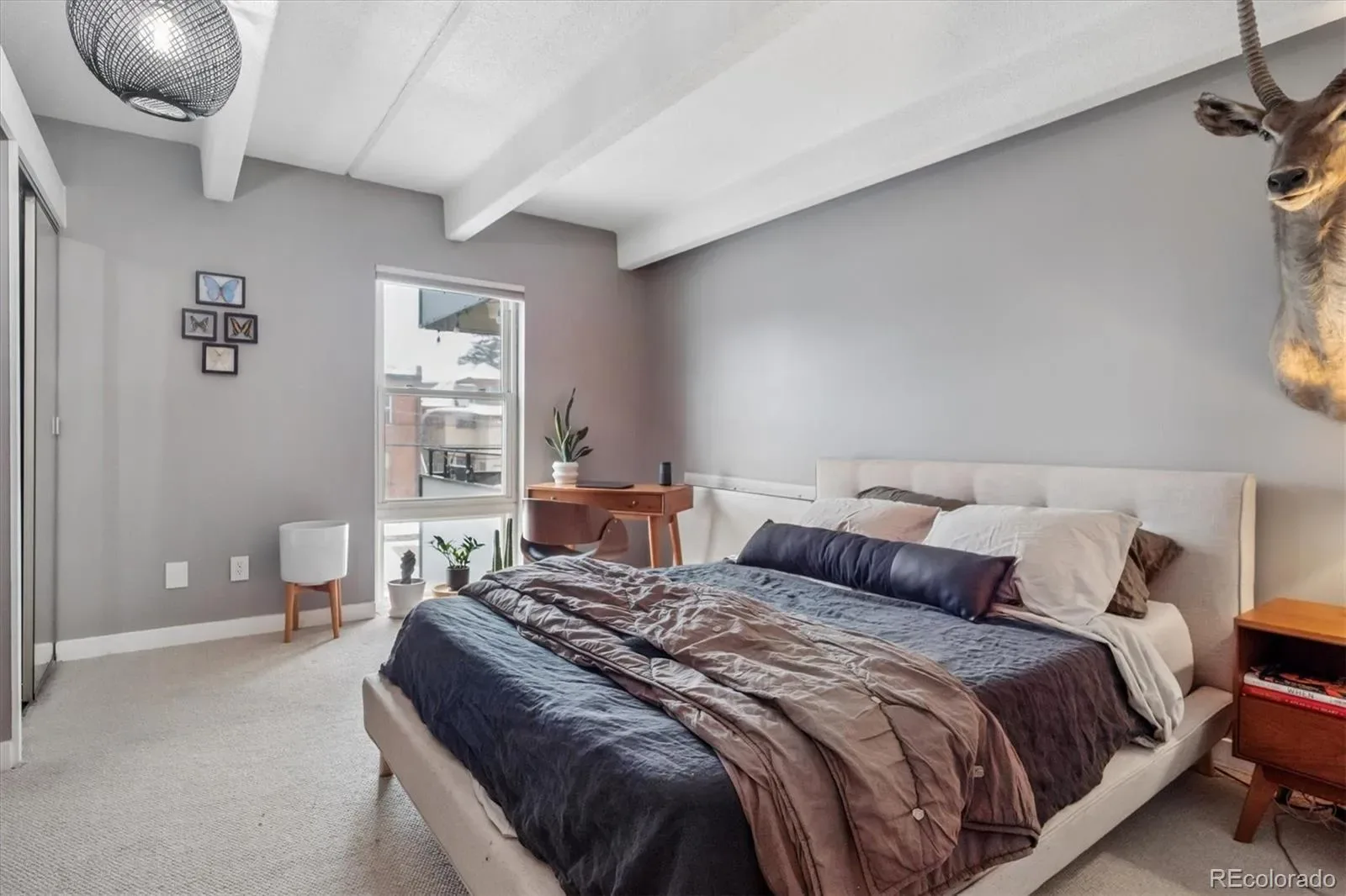 1255 N Ogden Street #205 Denver CO 80218 MLS #REC5403472 03122026135335 1600 9