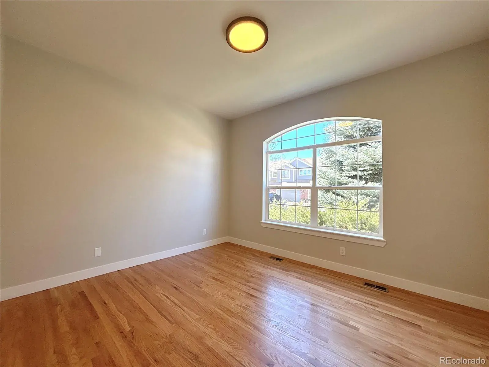 02262026215547 1600 19